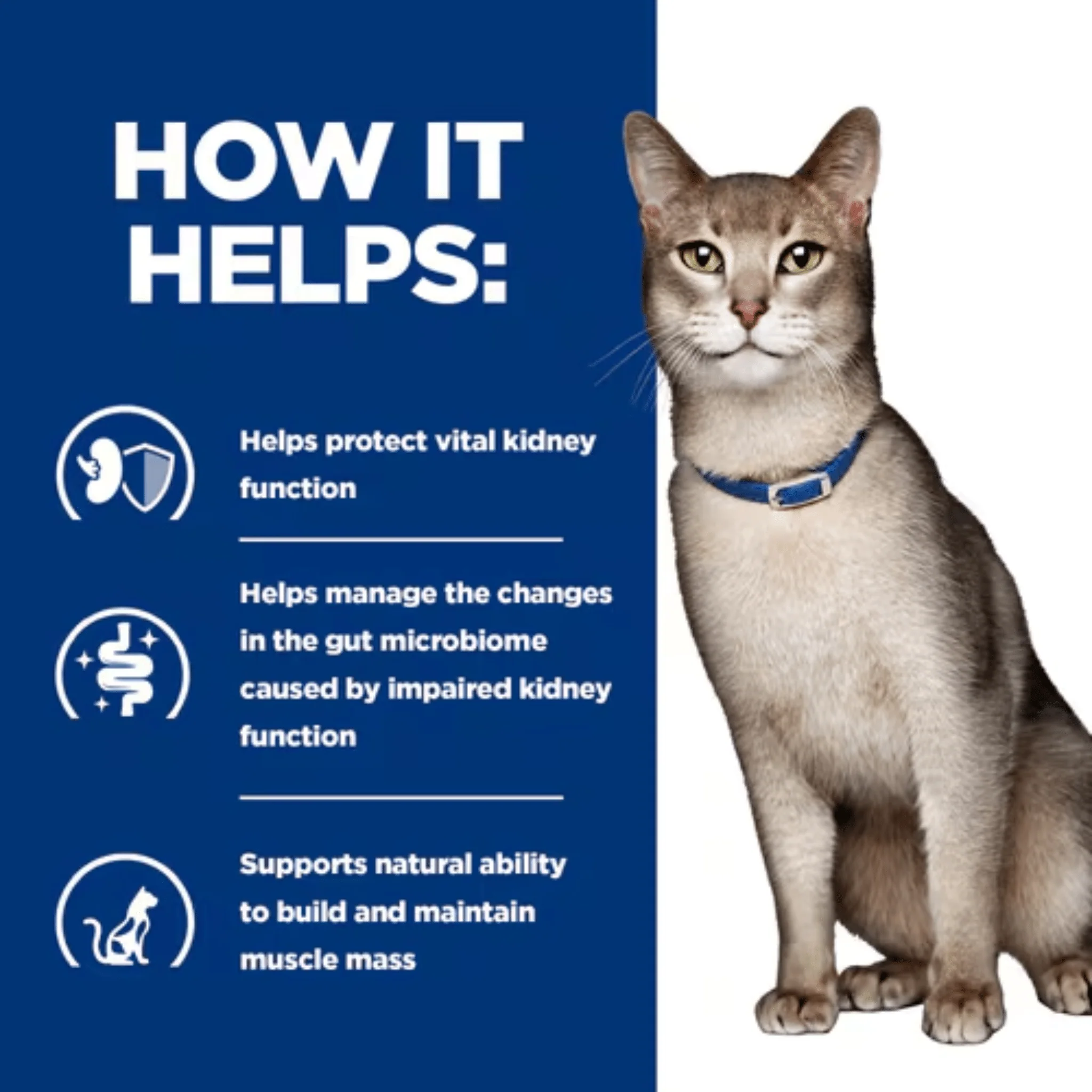 Hills Prescription K/D Kidney Care for Adult Cats - Image 3