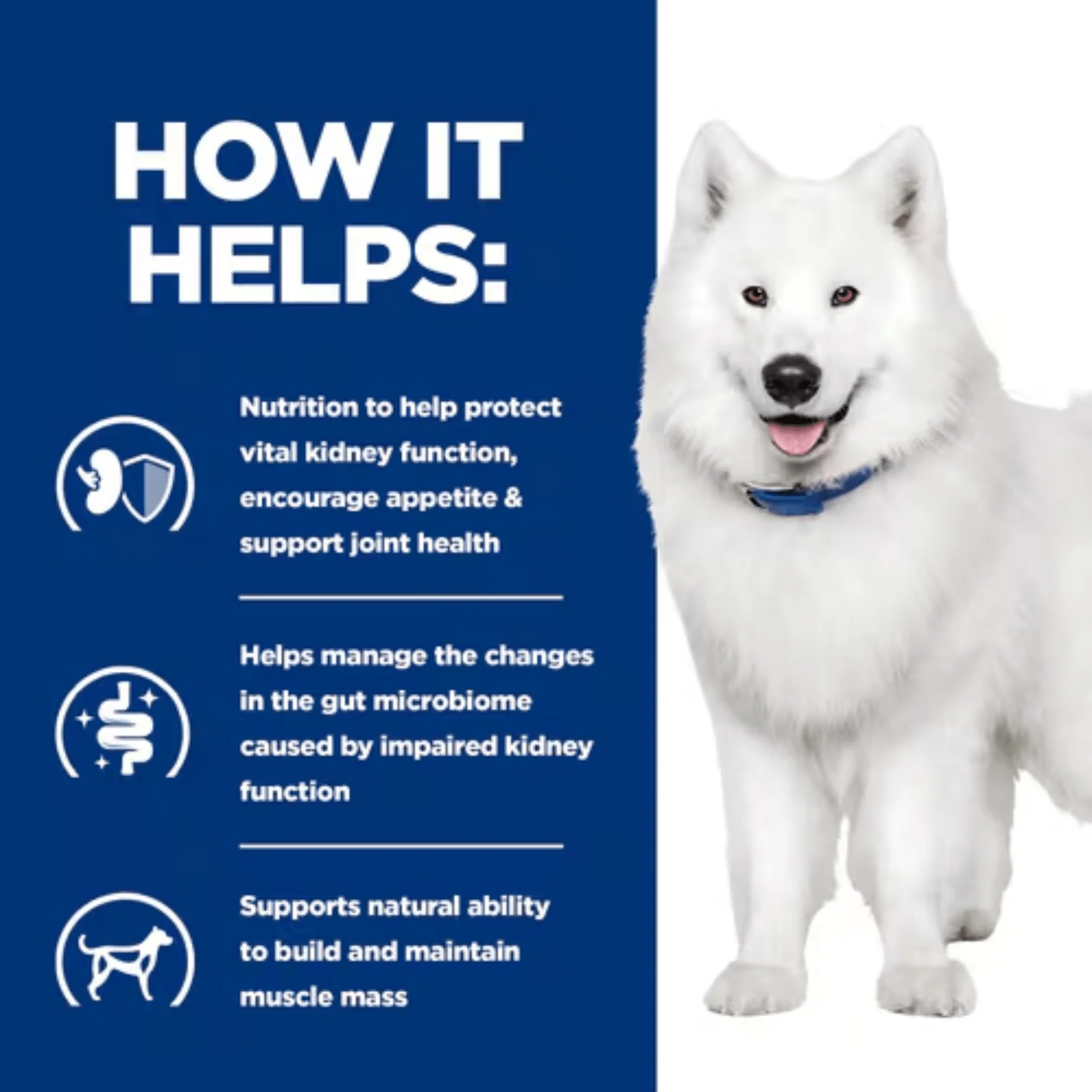 Hills Prescription K/D Kidney Care +Mobility Adult Dog Wet Food - Image 3