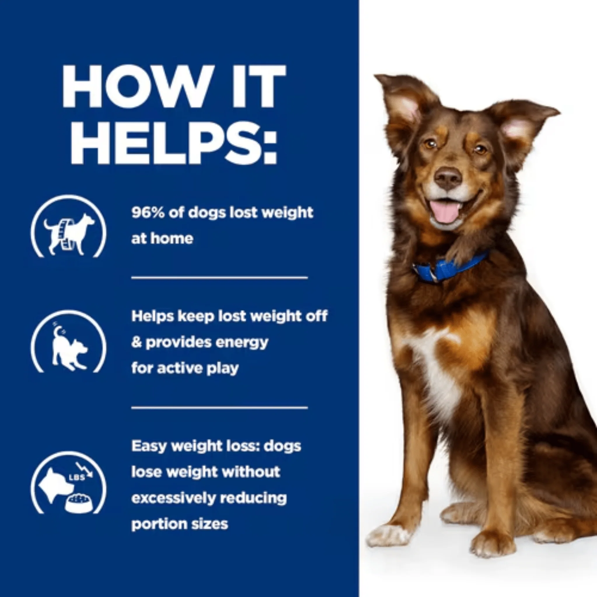 Hills Prescription Metabolic Adult Chicken Wet Dog Food - Image 4