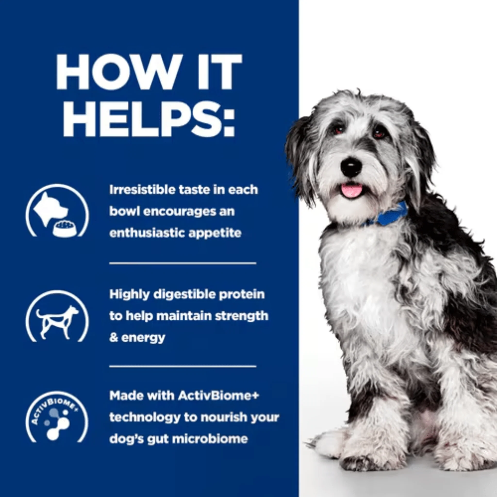 Hills Prescription On Care Stew Chicken & Veg for Adult Dogs - 12 Pack - Image 3