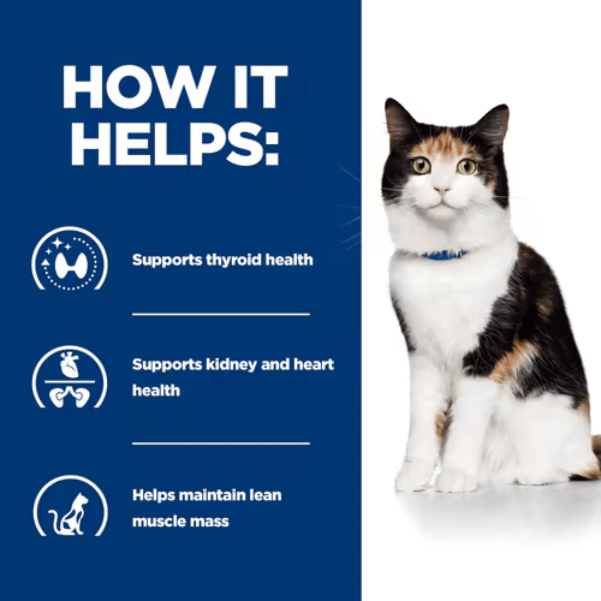Hills Prescription Y/D Thyroid Care for Adult Cats - Image 3