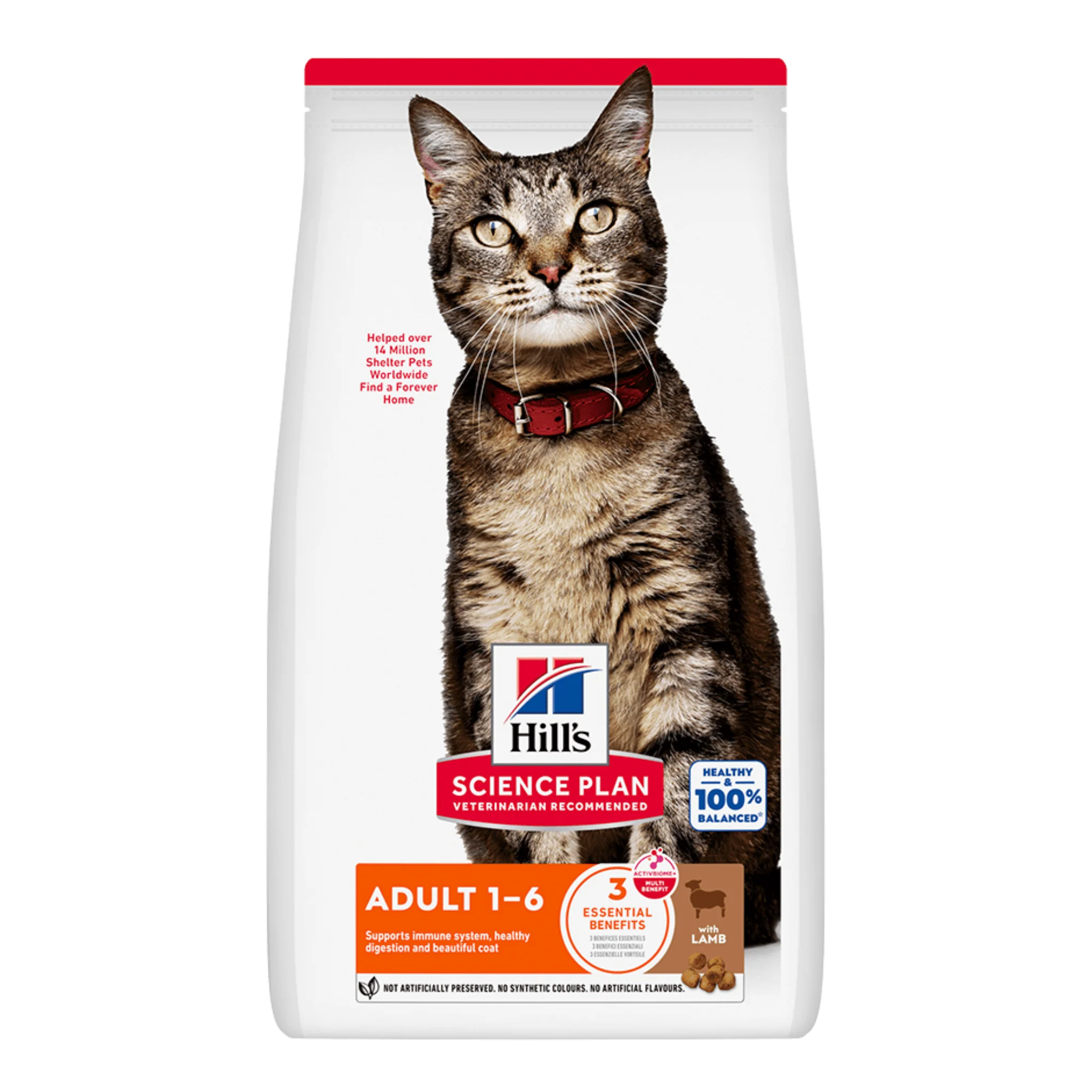 Hills Science Plan Adult Dry Cat Food Lamb