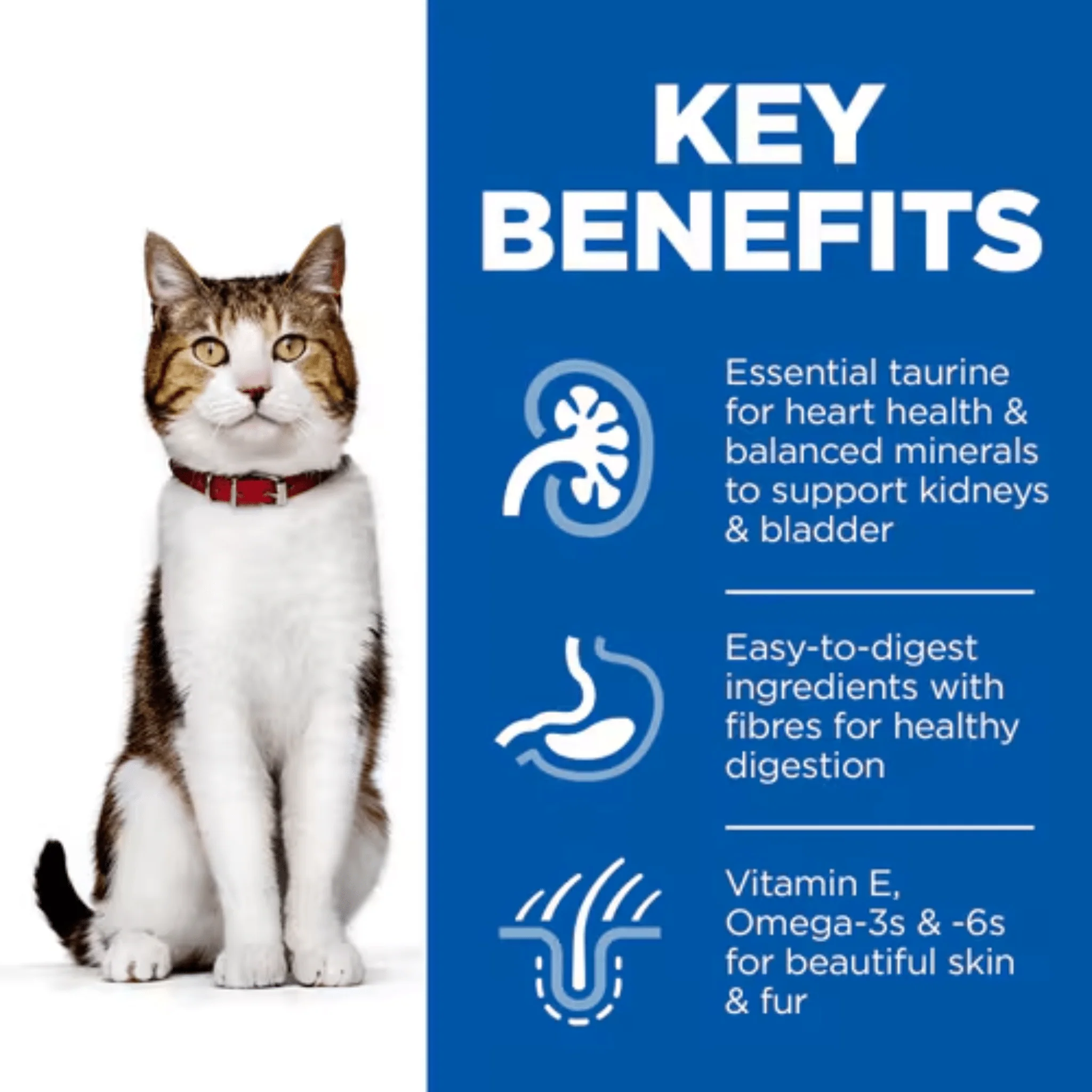 Hills Science Plan Cat Mature Adult 7+ Chicken - Image 3