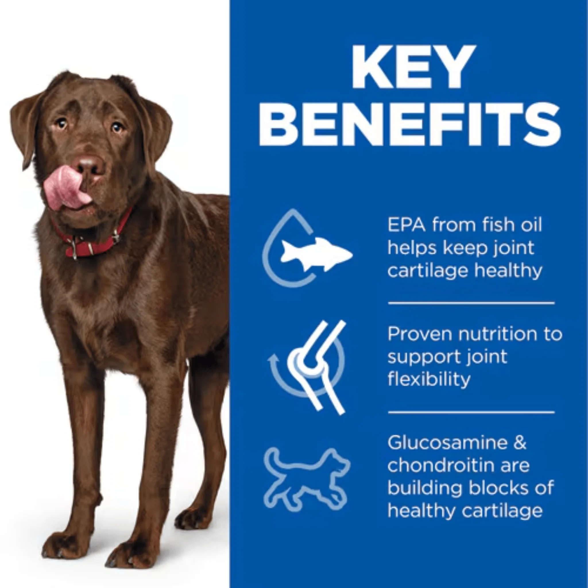 Hill's Science Plan Healthy Mobility Large Adult Dog Dry Food - 14kg - Image 3