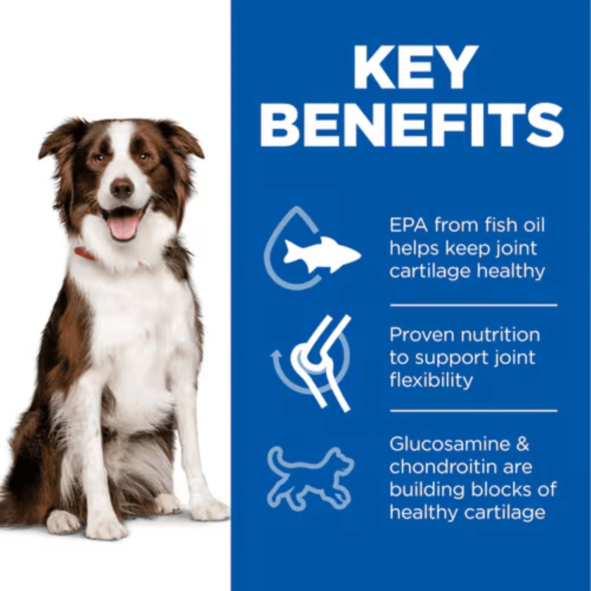 Hill's Science Plan Healthy Mobility Medium Adult Dog Dry Food - Image 3