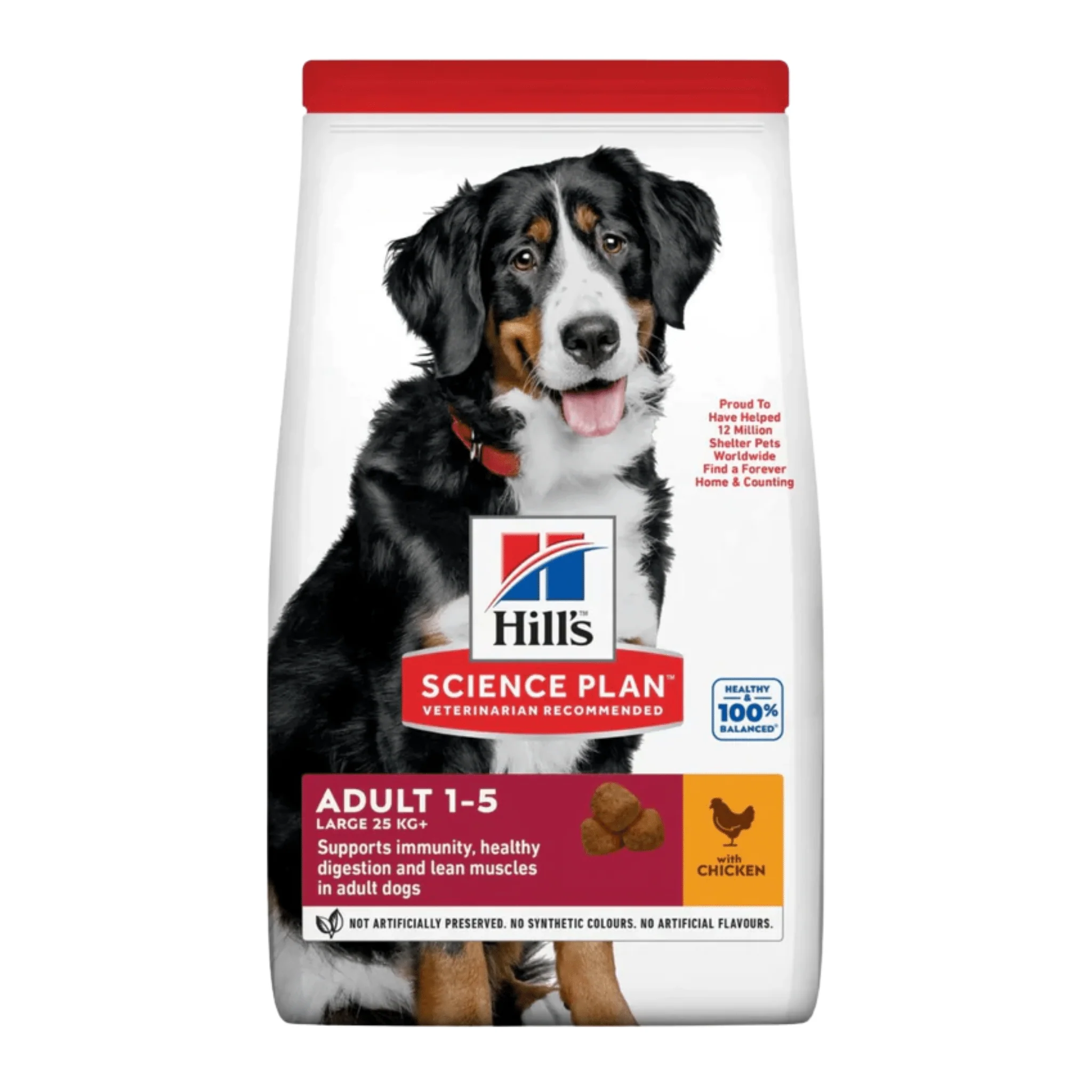 Hills Science Plan Large Adult Dry Dog Food Chicken