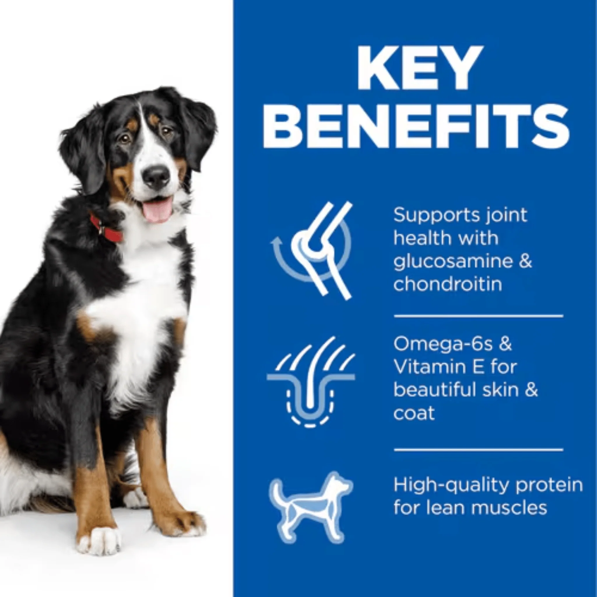 Hills Science Plan Large Adult Dry Dog Food Chicken - Image 3