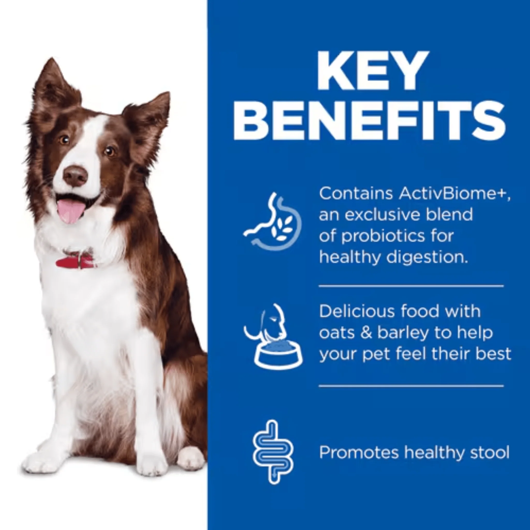 Hills Science Plan Perfect Digestion Adult Dog Wet Food - Image 3