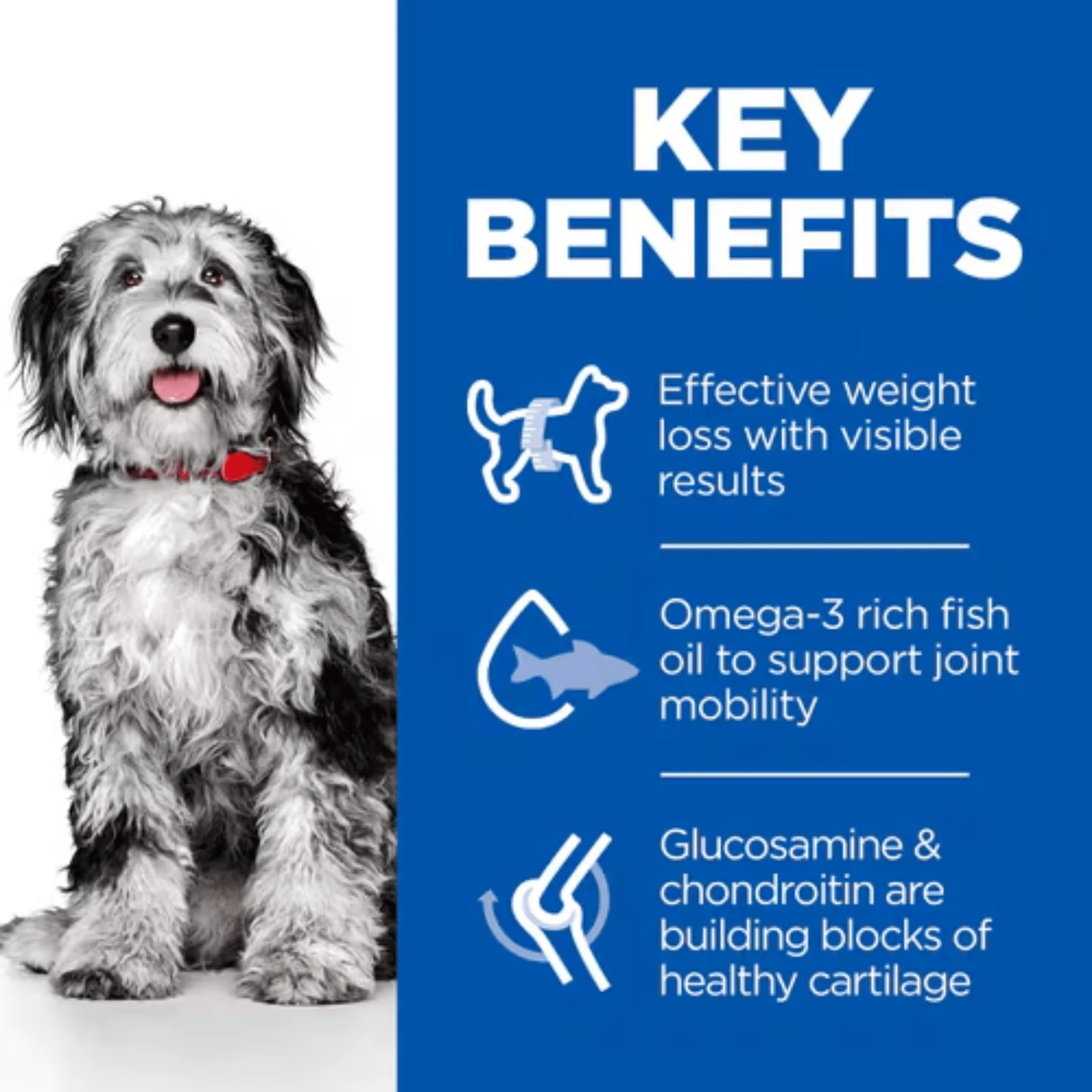 Hill's Science Plan Perfect Weight & Active Mobility Medium Adult Dog Dry Food - Image 3