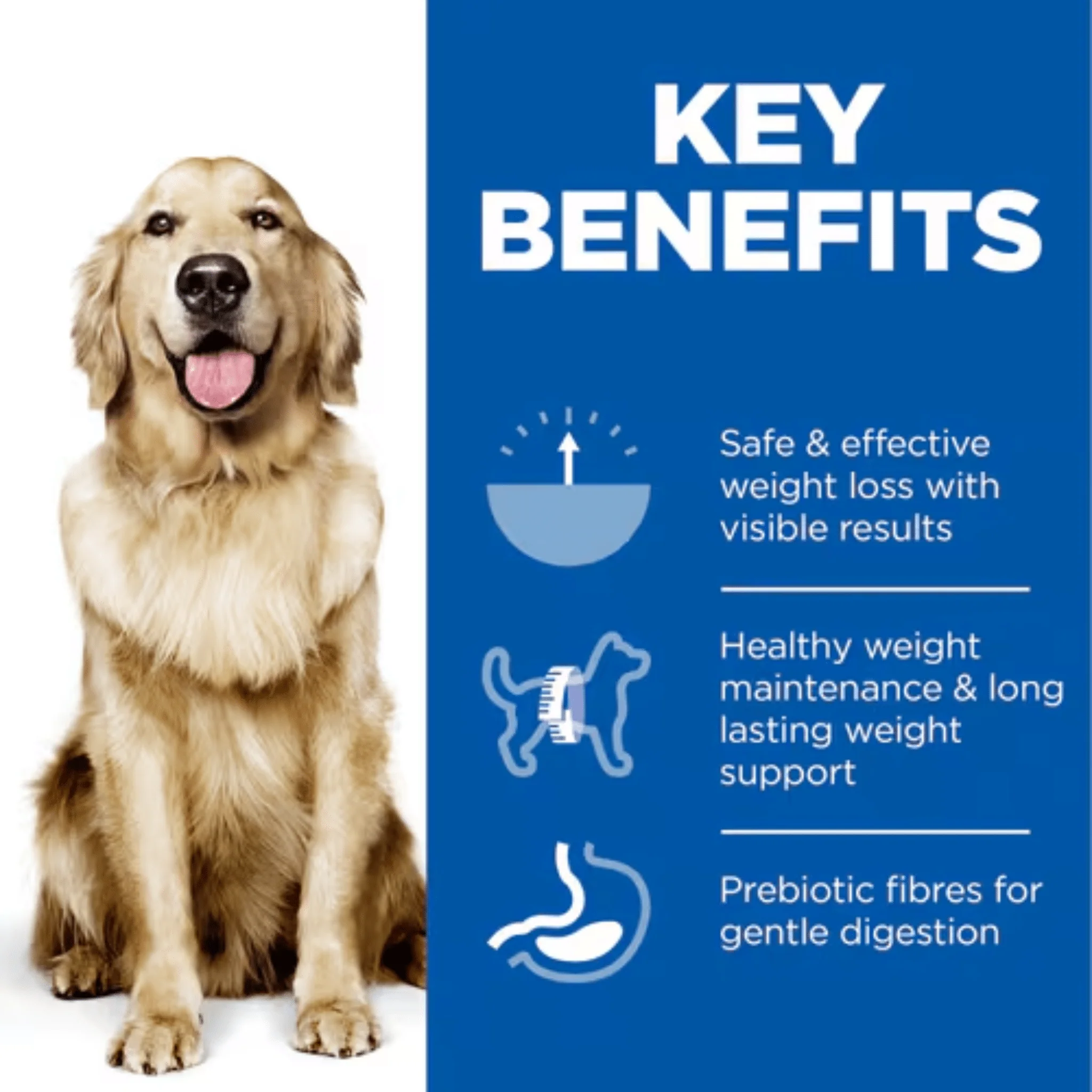 Hill's Science Plan Perfect Weight Large Adult Dog Dry Food - 12kg - Image 3