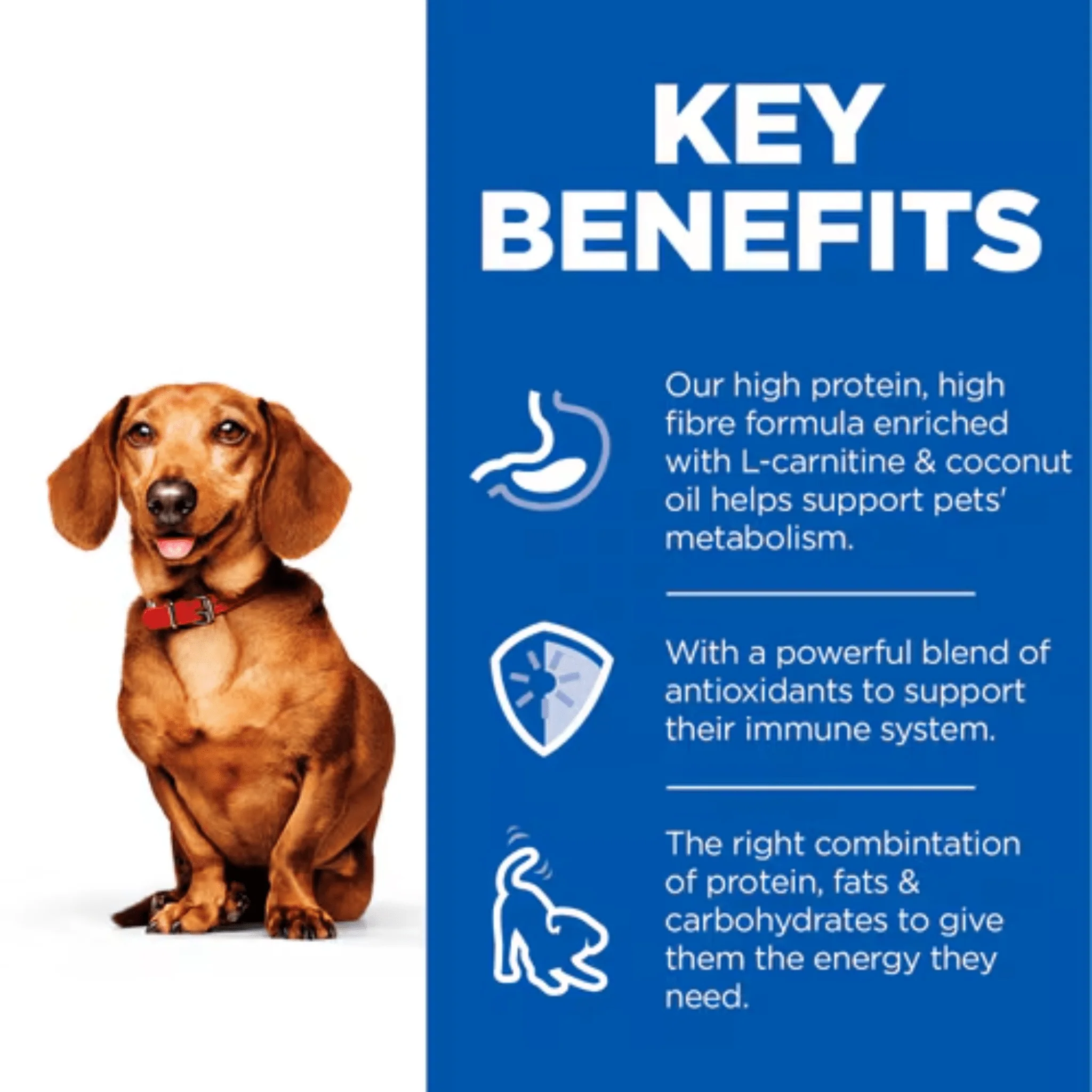 Hills Science Plan Perfect Weight Wet Dog Food - Image 3