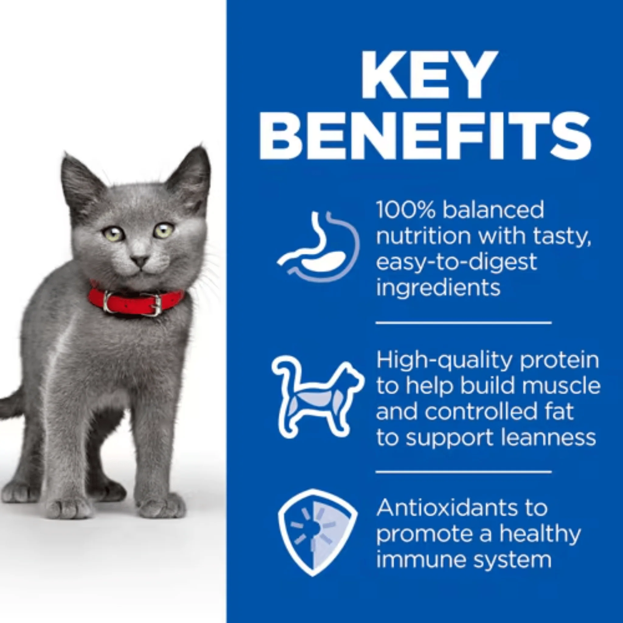 Hills Science Plan Sterilised Kitten Dry Food - Image 3