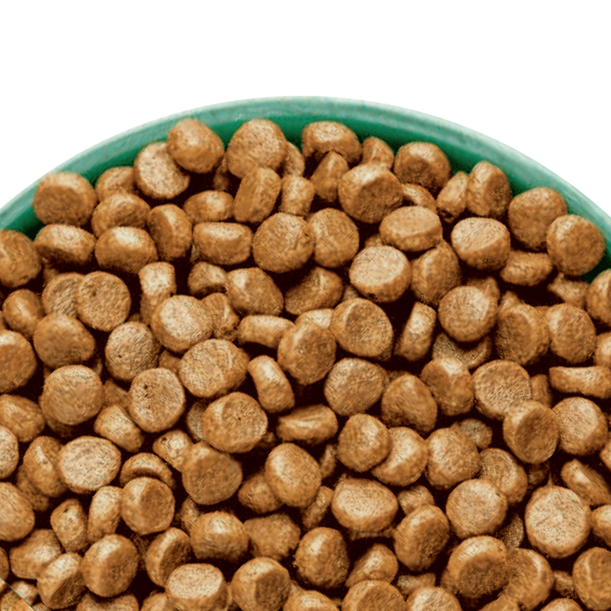 James Wellbeloved Adult Chicken and Turkey High Protein Dry Cat Food - Image 2