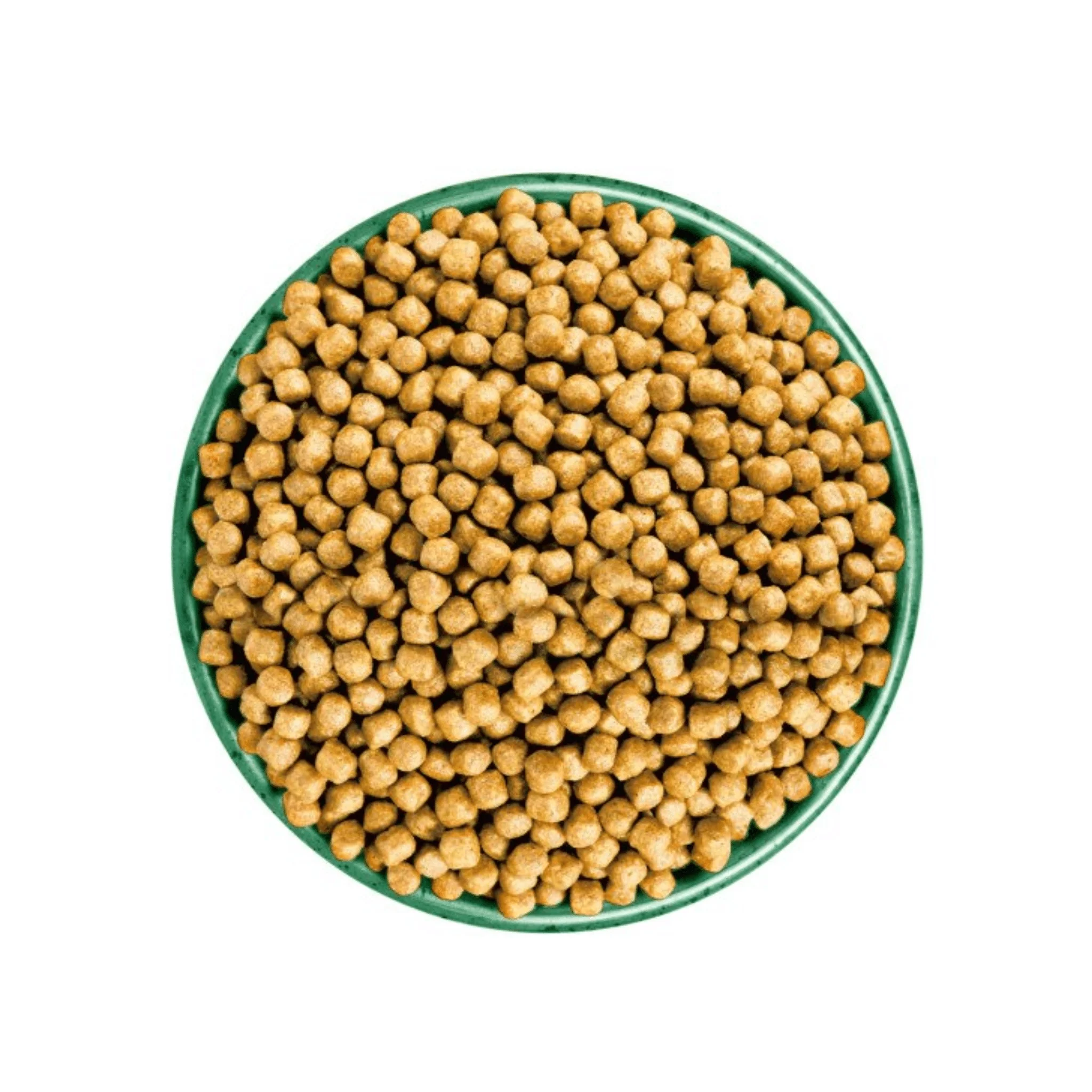 James Wellbeloved Adult Chicken Dry Cat Food - Image 2