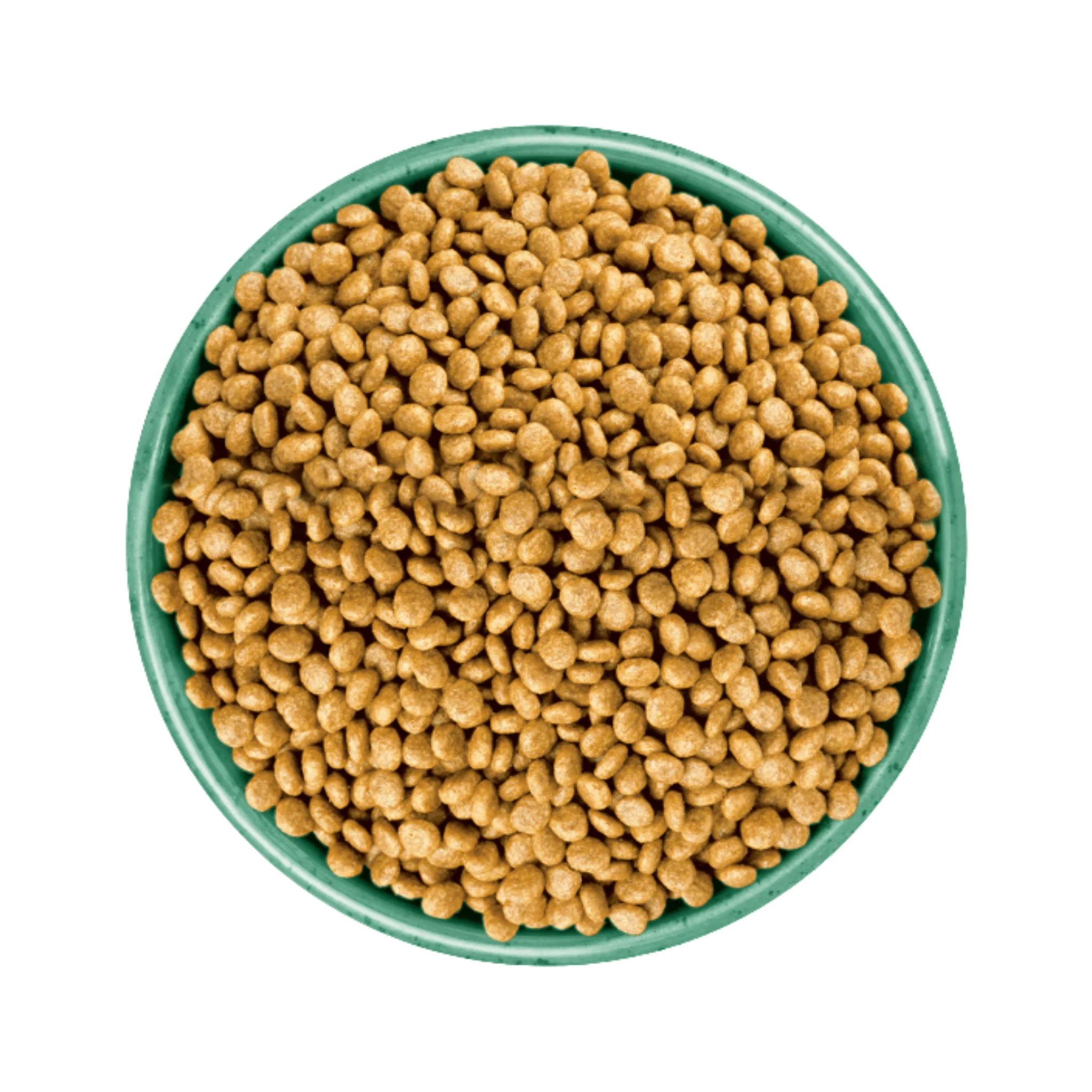 James Wellbeloved Adult Grain Free Turkey Dry Cat Food - Image 2