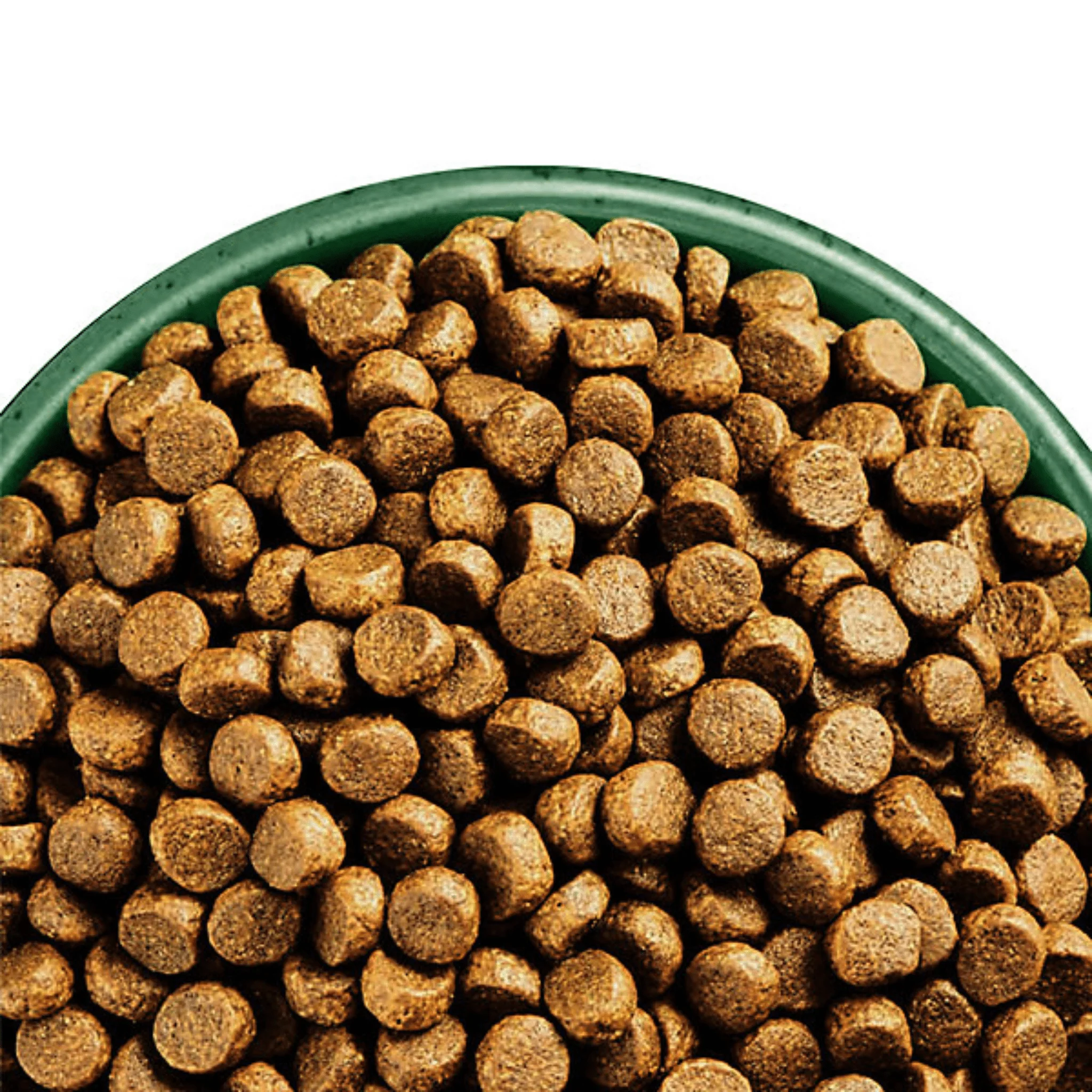 James Wellbeloved High Protein Adult Chicken & Turkey Dry Dog Food - Image 2
