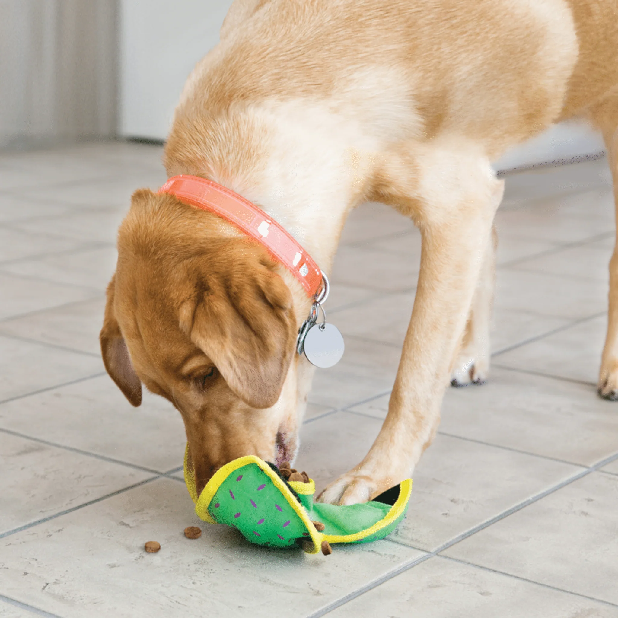 KONG Ballistic Hide 'n Treat (Assorted) - Image 5