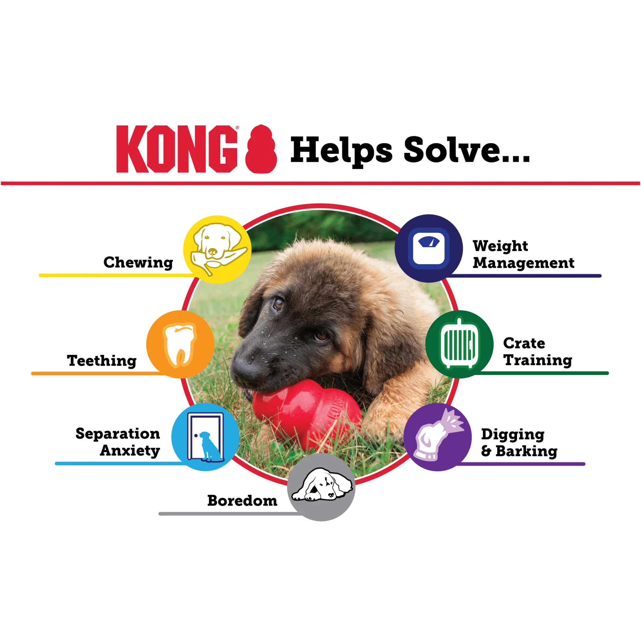 KONG Classic - Image 5