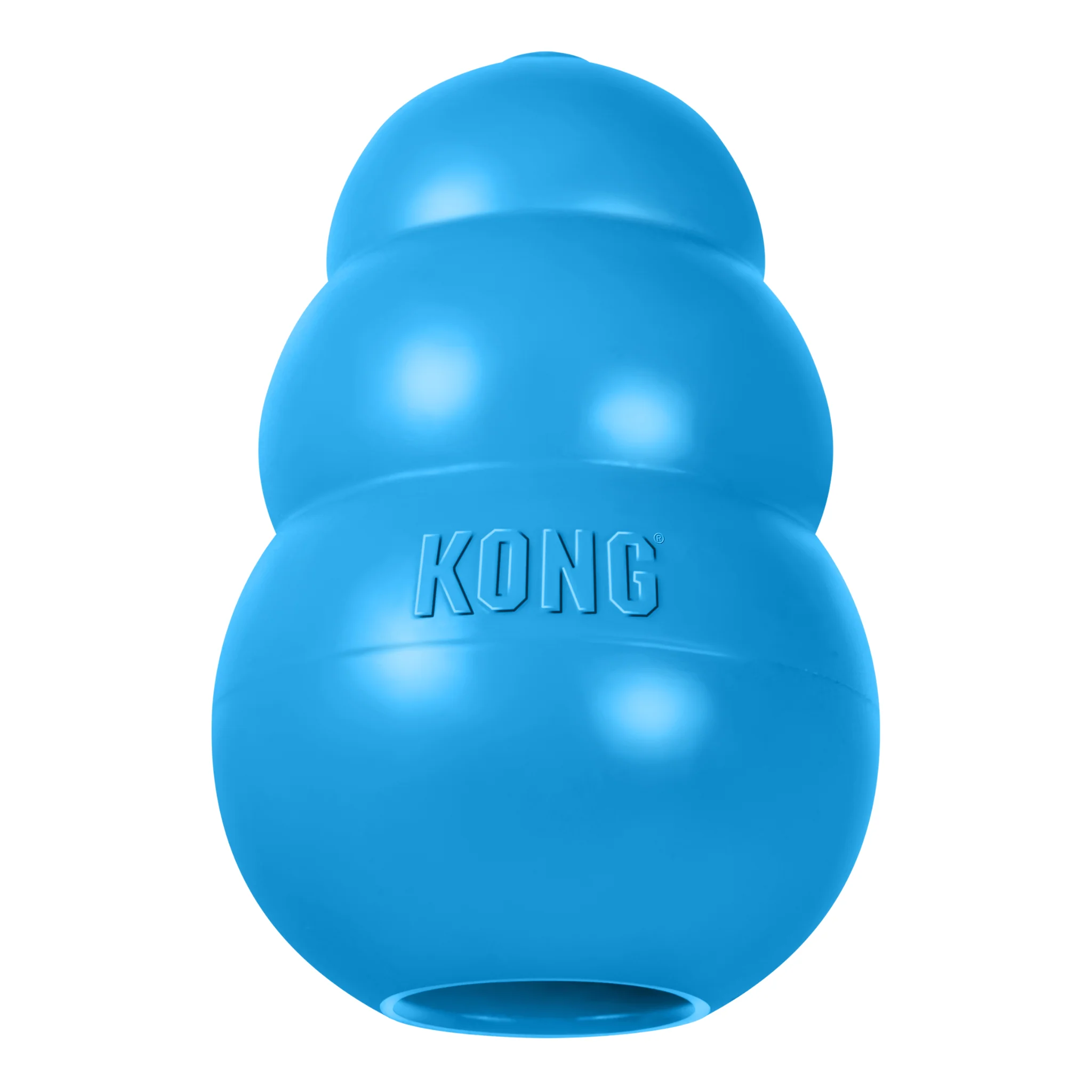 KONG Puppy - Image 6