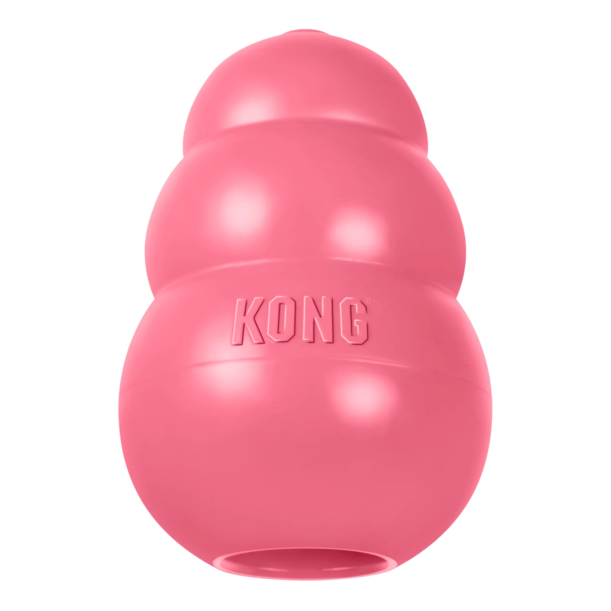 KONG Puppy - Image 7