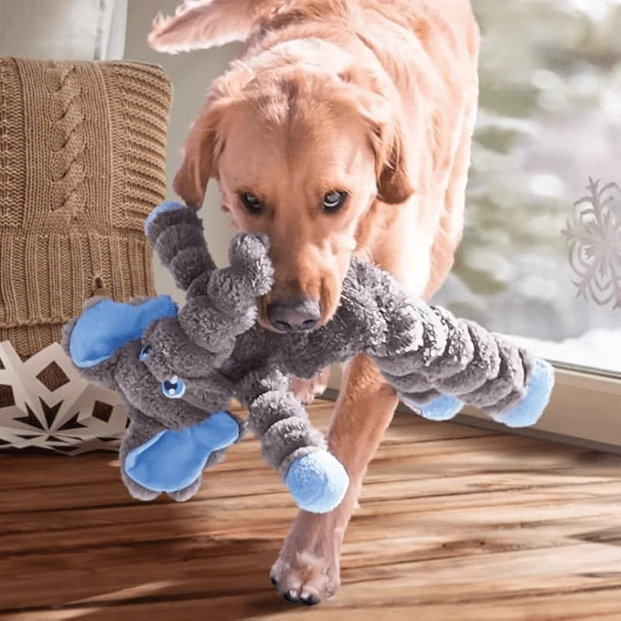 KONG Shakers Crumples Elephant Dog Toy - XL - Image 3