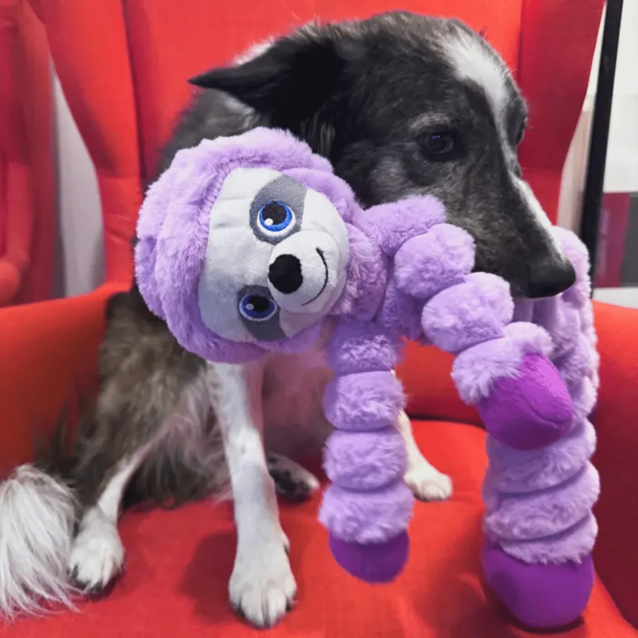 KONG Shakers Crumples Sloth Dog Toy - XL - Image 3