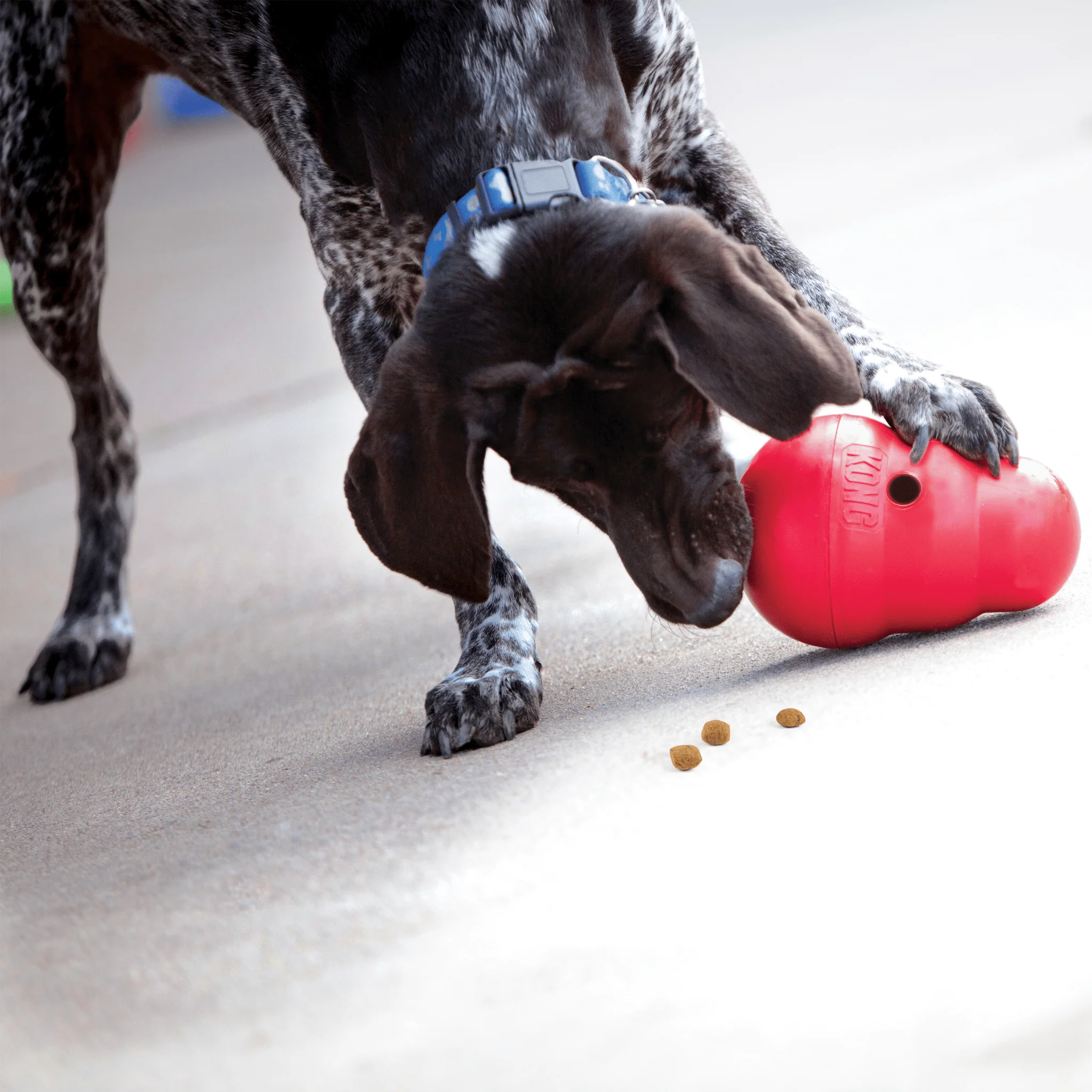 KONG Wobbler Toy - Image 4