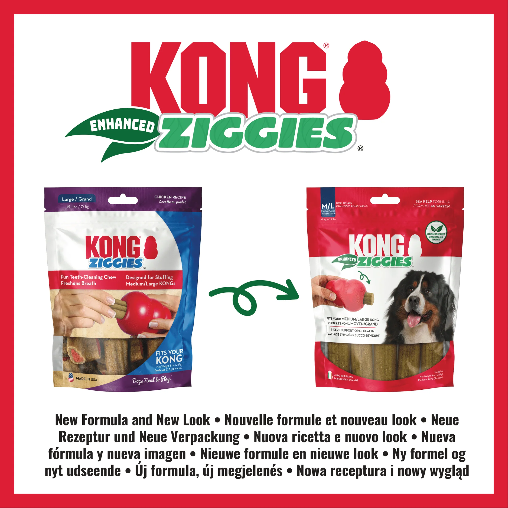 KONG Ziggies Enhanced Medium Chew - Image 4