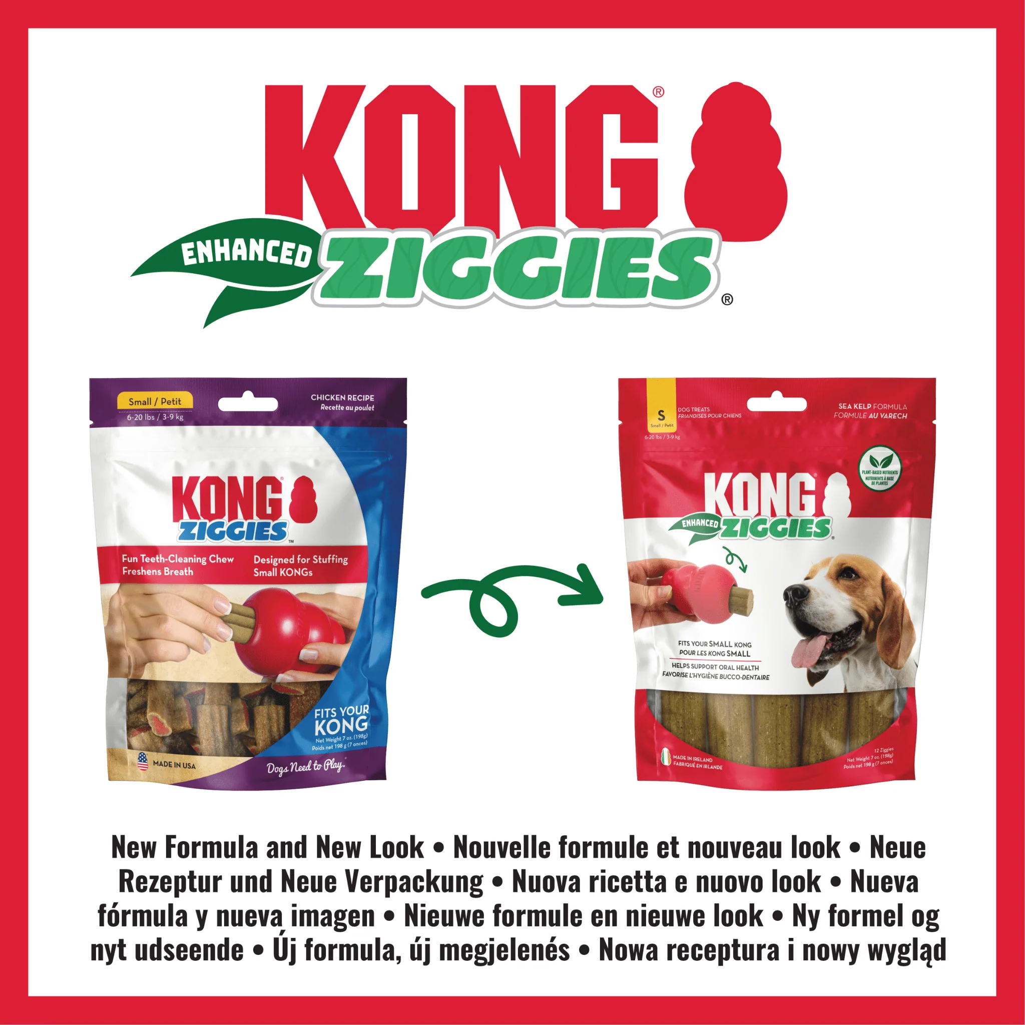 KONG Ziggies Enhanced Small Chew - Image 9