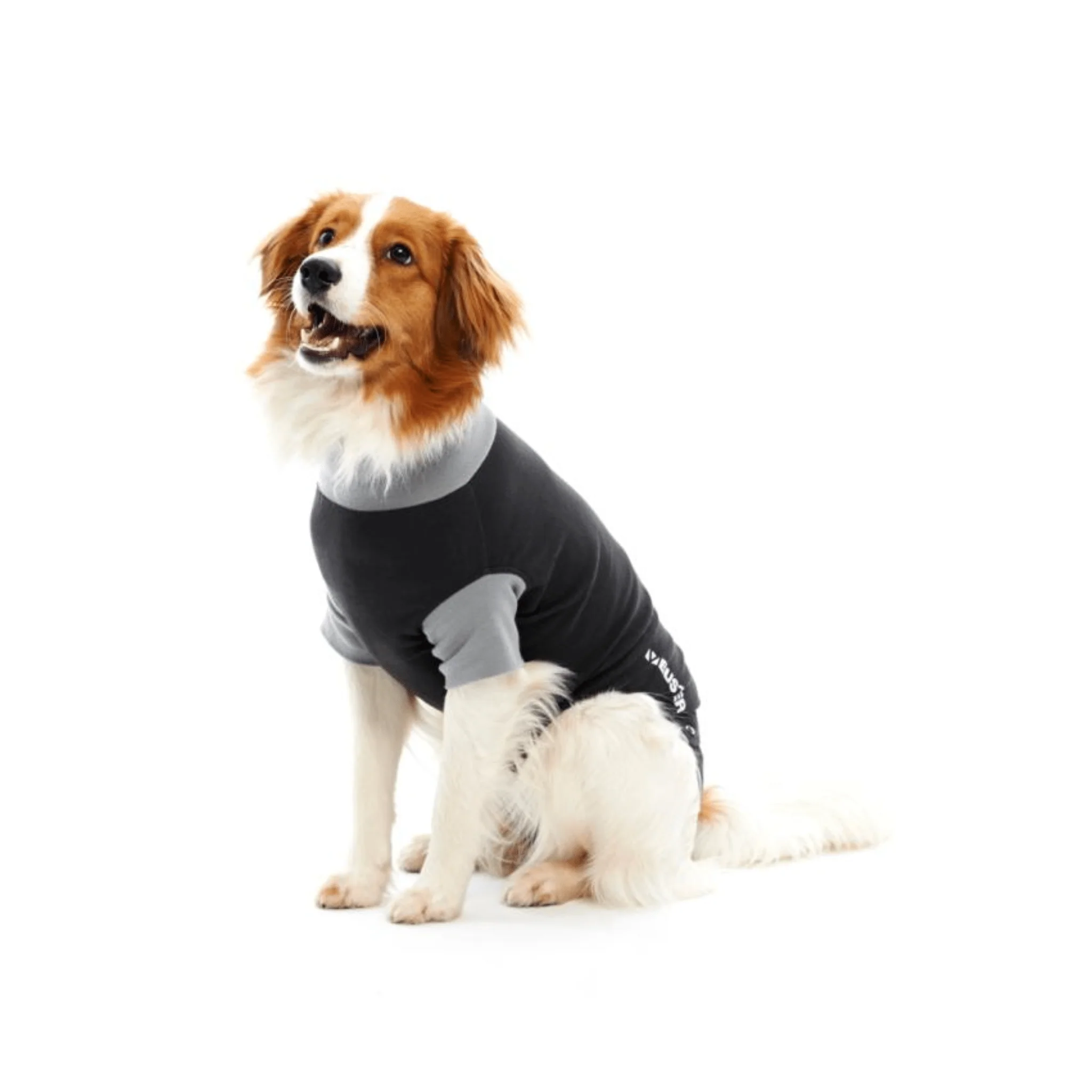 Kruuse BUSTER Body Suit Classic For Dogs - Image 4