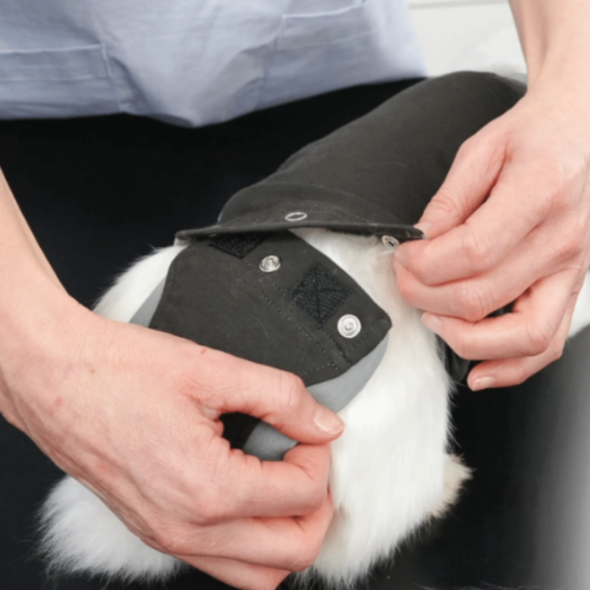 Kruuse BUSTER Body Suit For Rabbits - Image 2
