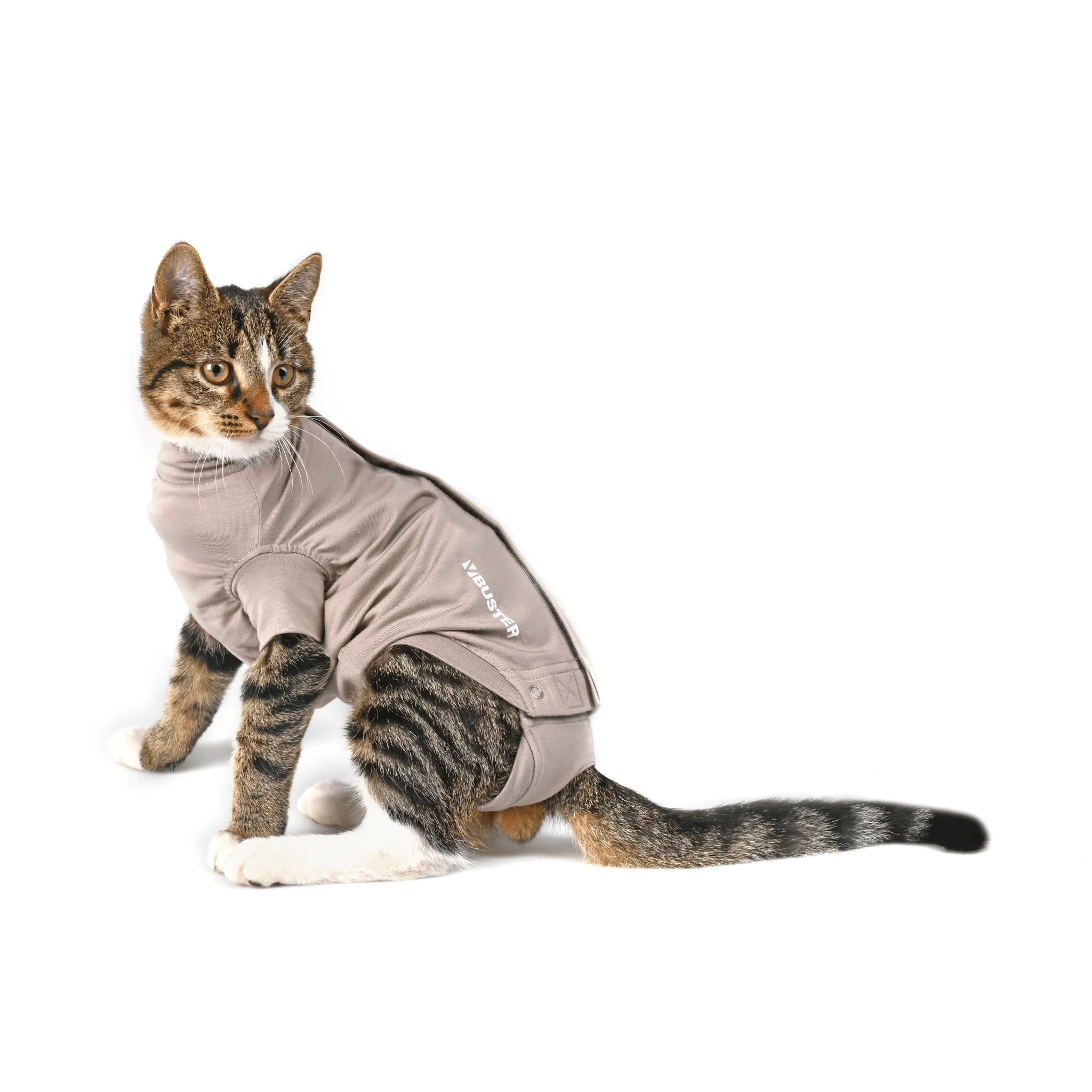 Kruuse BUSTER Body Suit Step'n Go For Cats