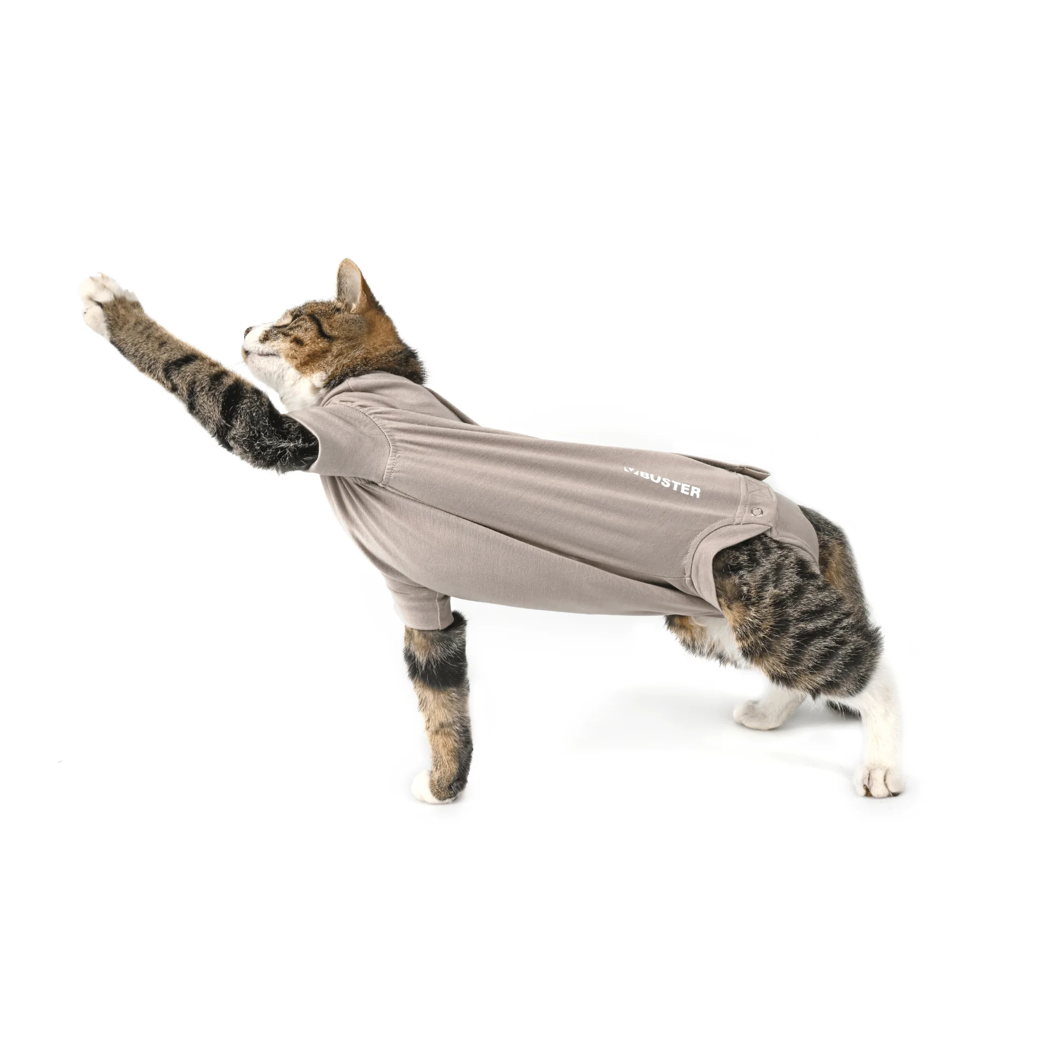 Kruuse BUSTER Body Suit Step'n Go For Cats - Image 3