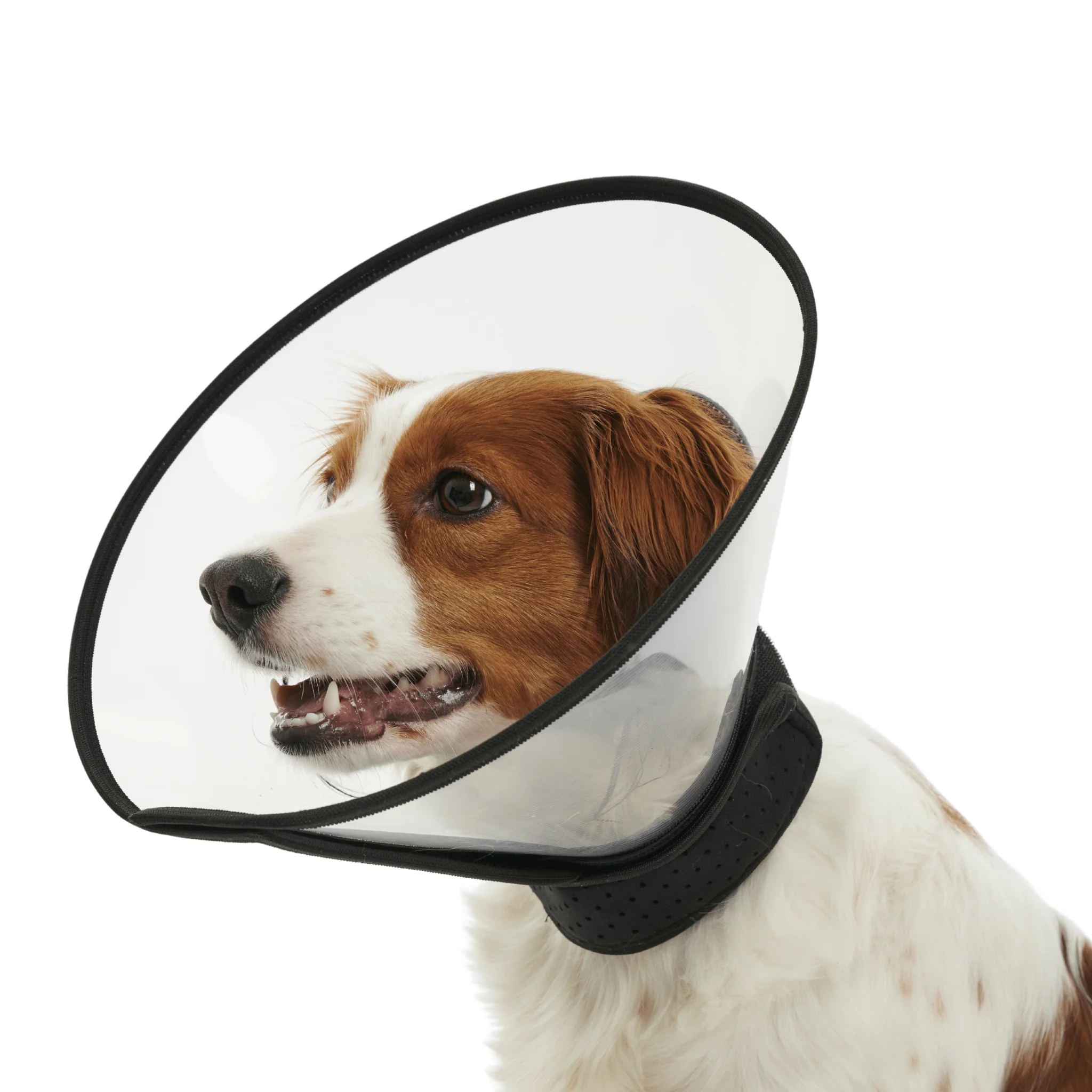 Kruuse BUSTER Complete Recovery Collar