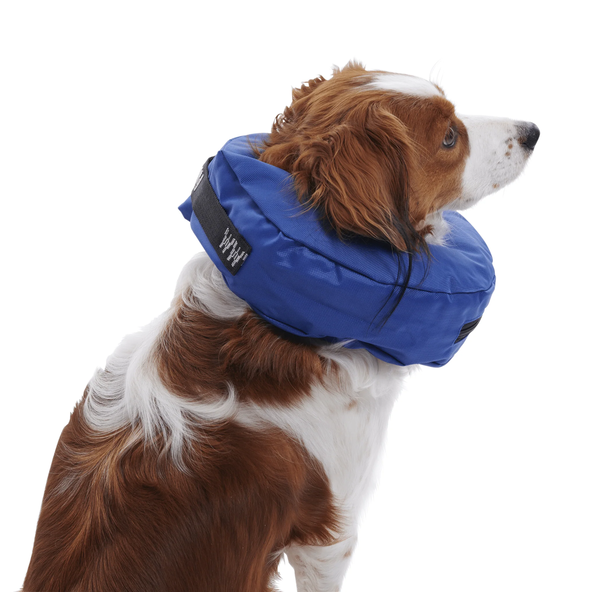 Kruuse BUSTER Inflatable Recovery Collar - Image 2