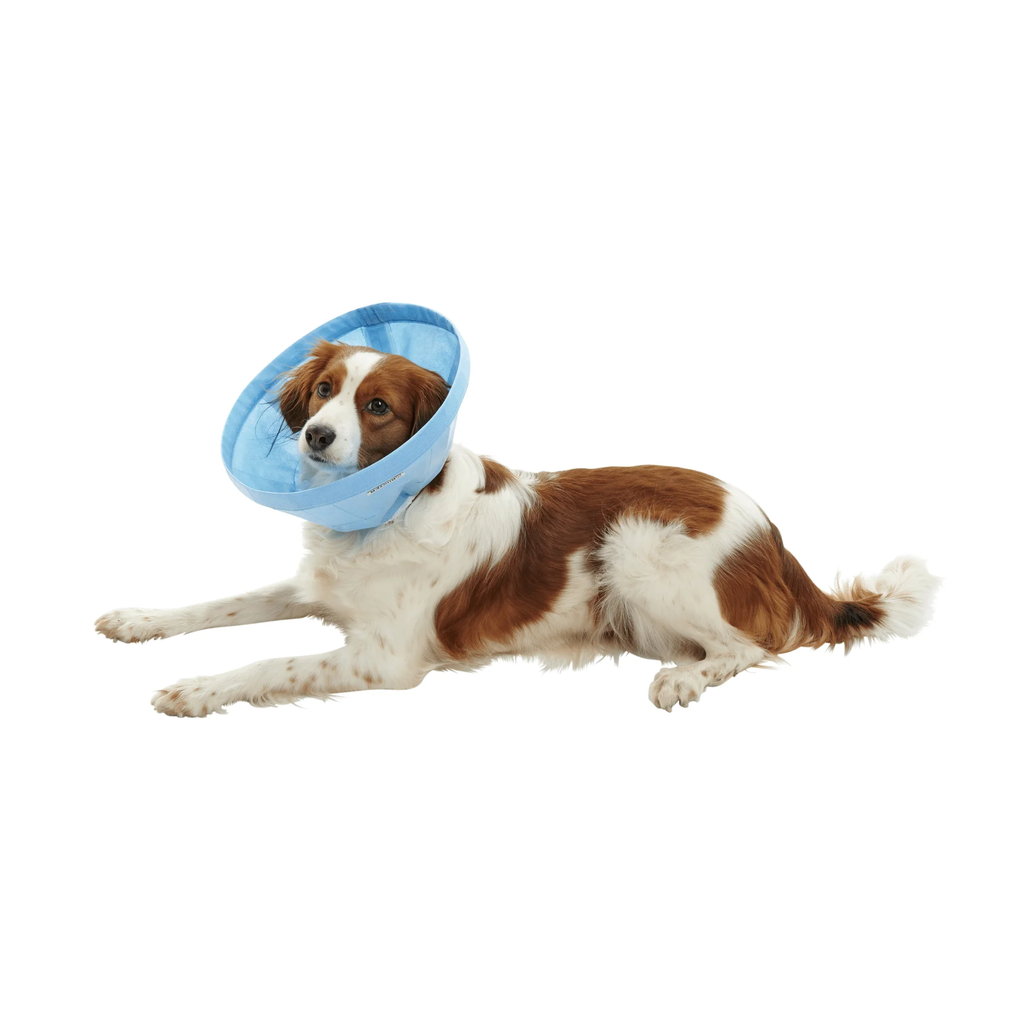 Kruuse BUSTER Soft Flex Recovery Collar - Image 2