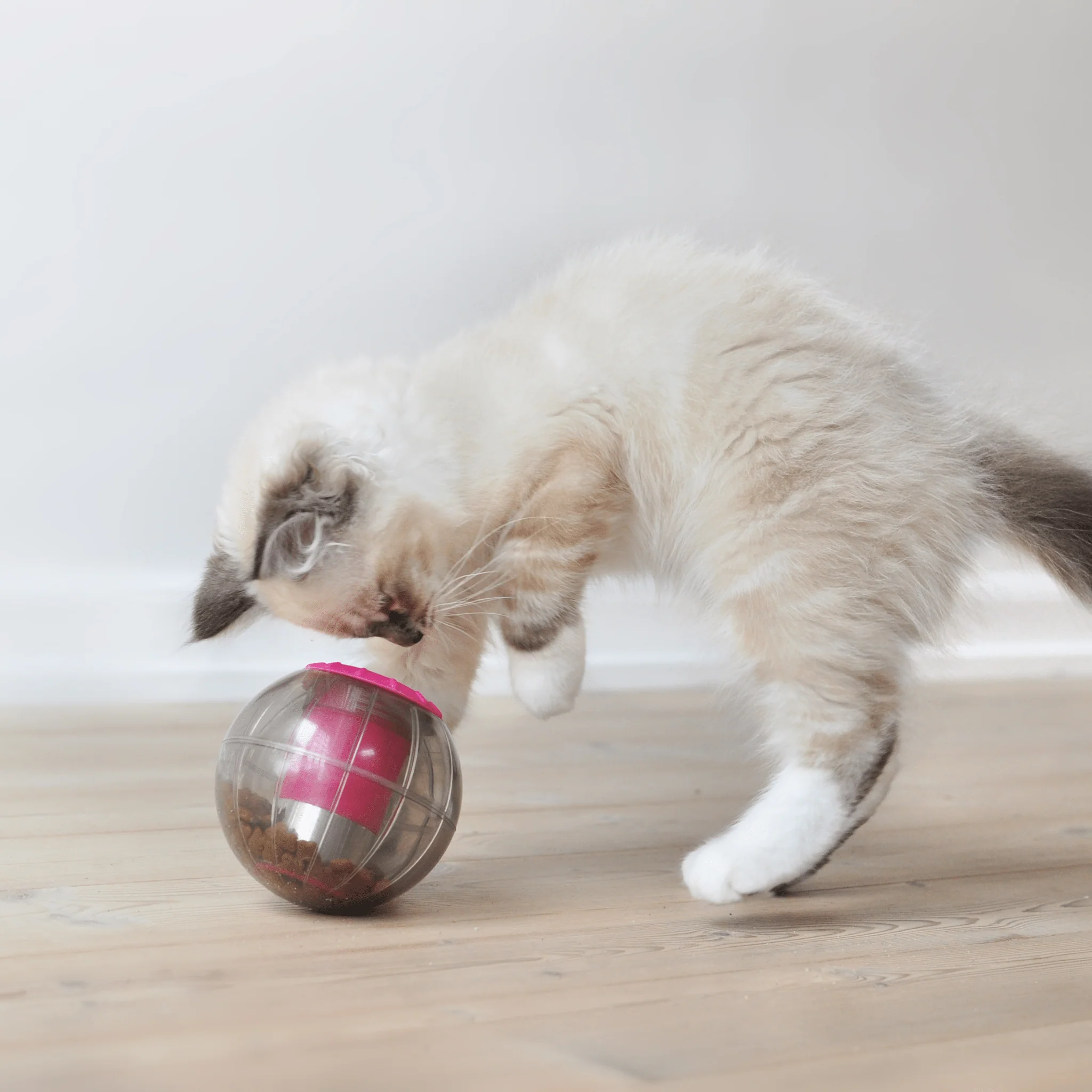 Kruuse Catmosphere Cat Treat Ball - Image 2