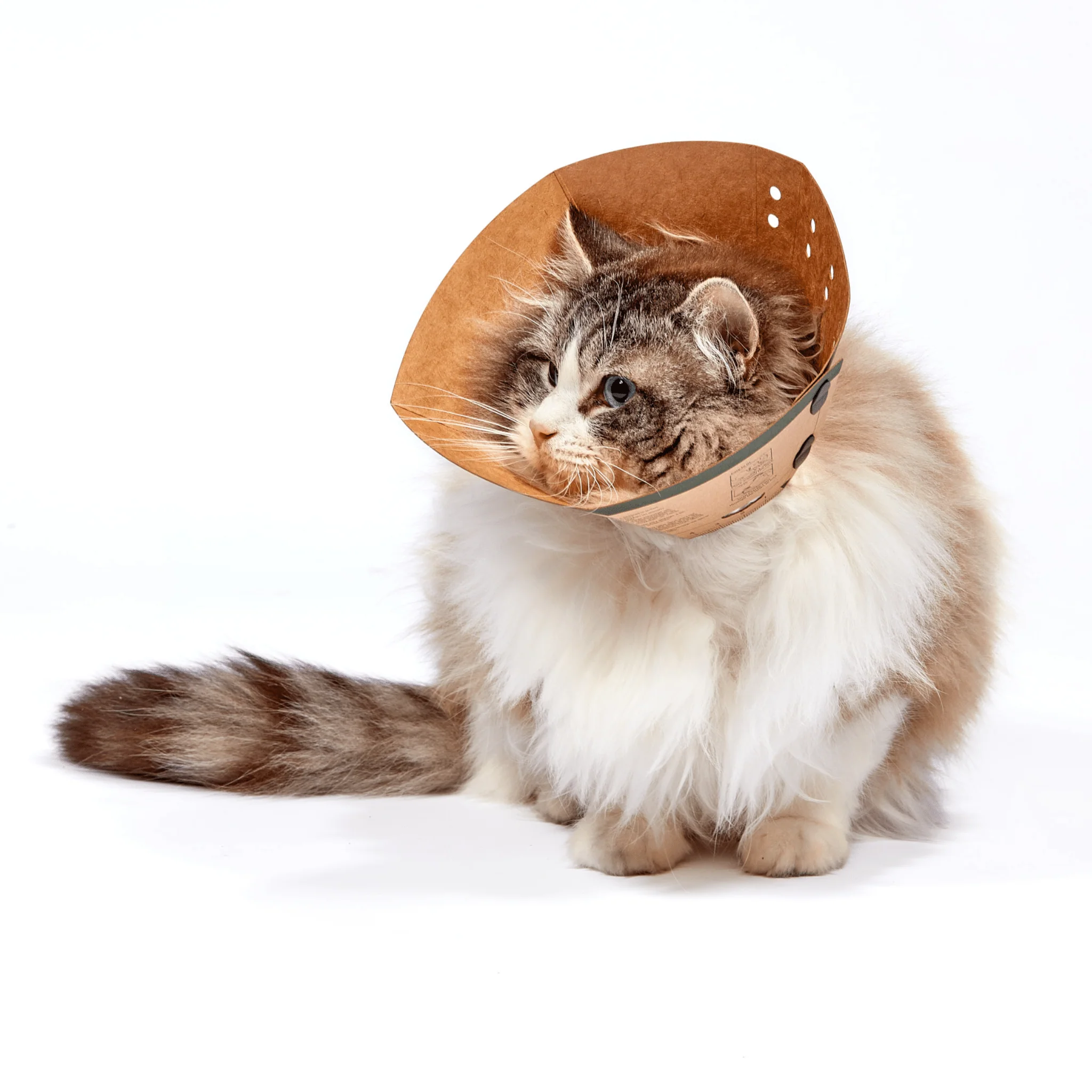 MDC Smart Eco Recover Collar - Image 2