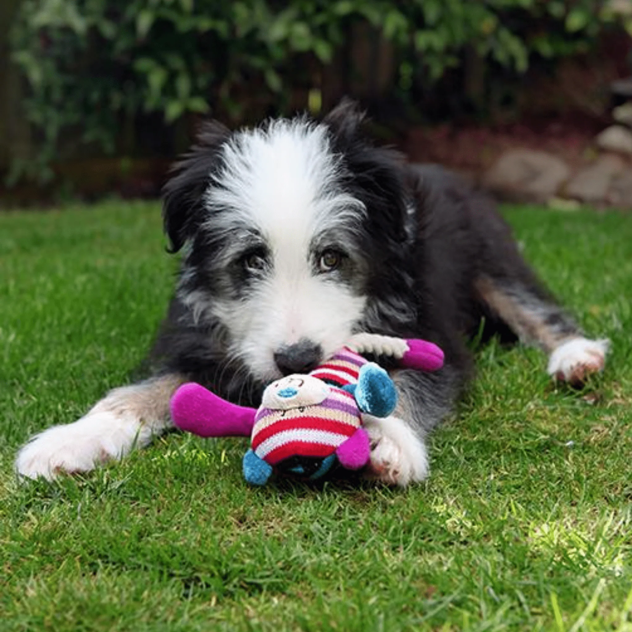 Mr Twister Tilly Teddy 20cm - Image 2