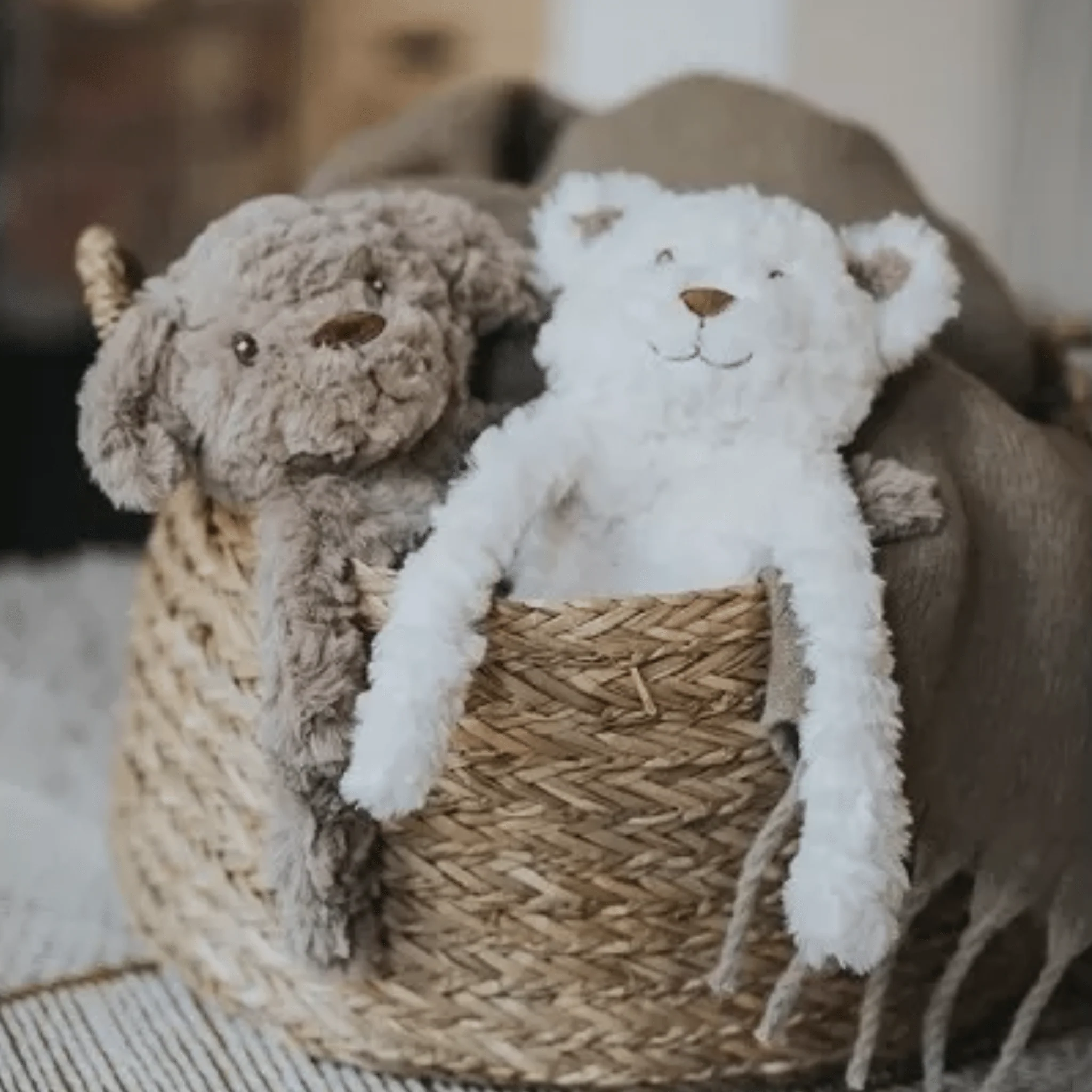My Dog Bear Dog Toy - Image 4
