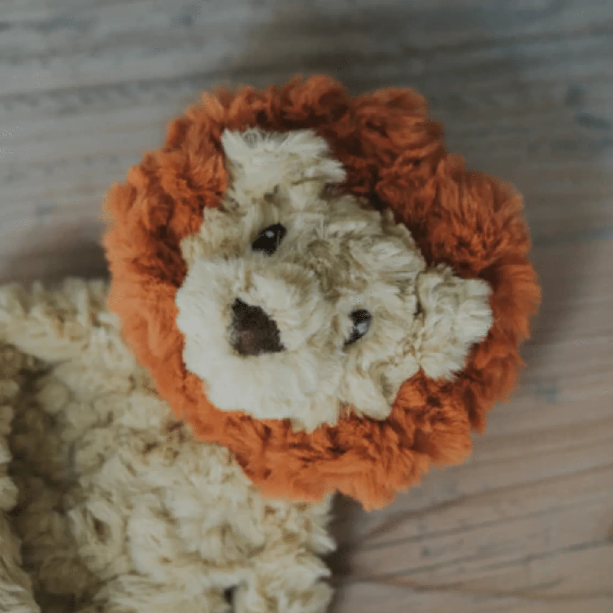 My Dog Lion Dog Toy - Image 2
