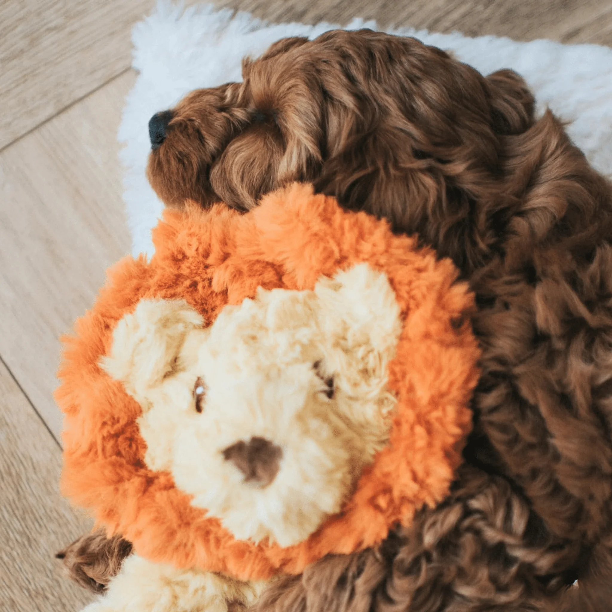 My Dog Lion Dog Toy - Image 4