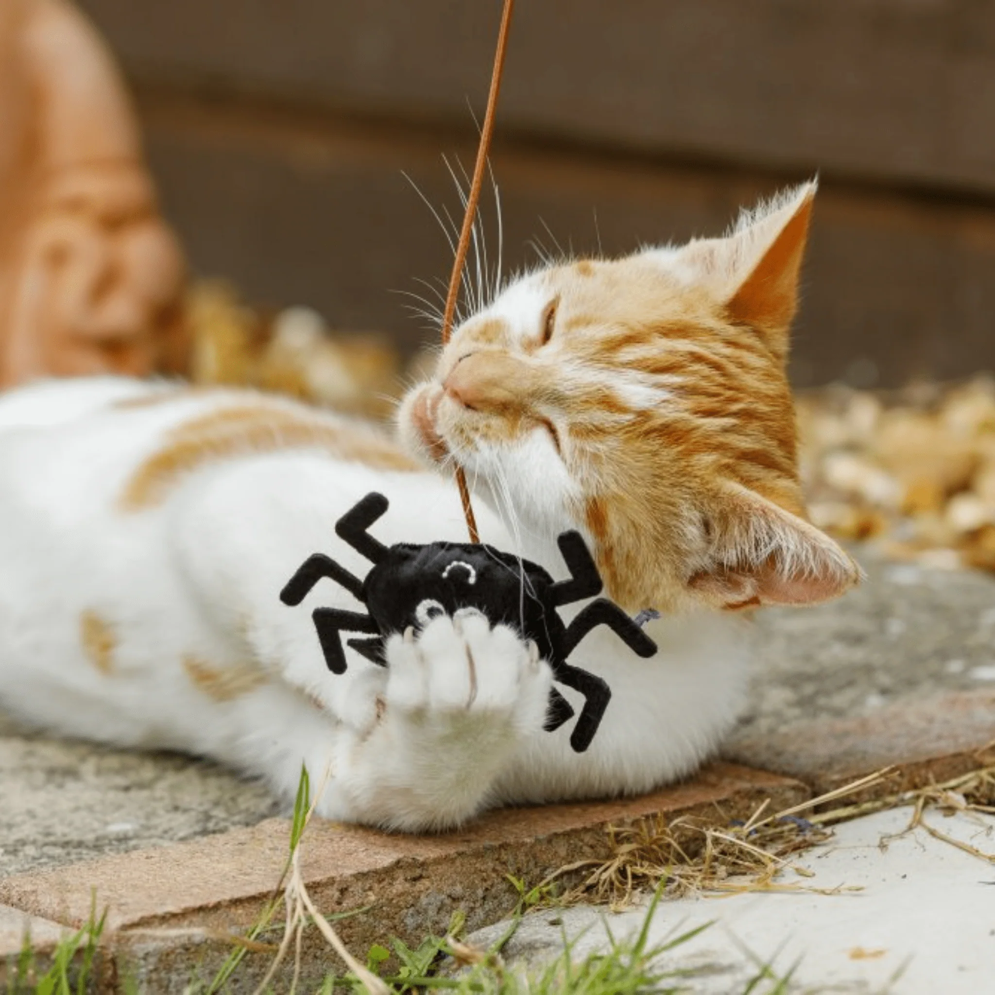 Petface Catnip Spider Teaser Cat Toy - Image 5