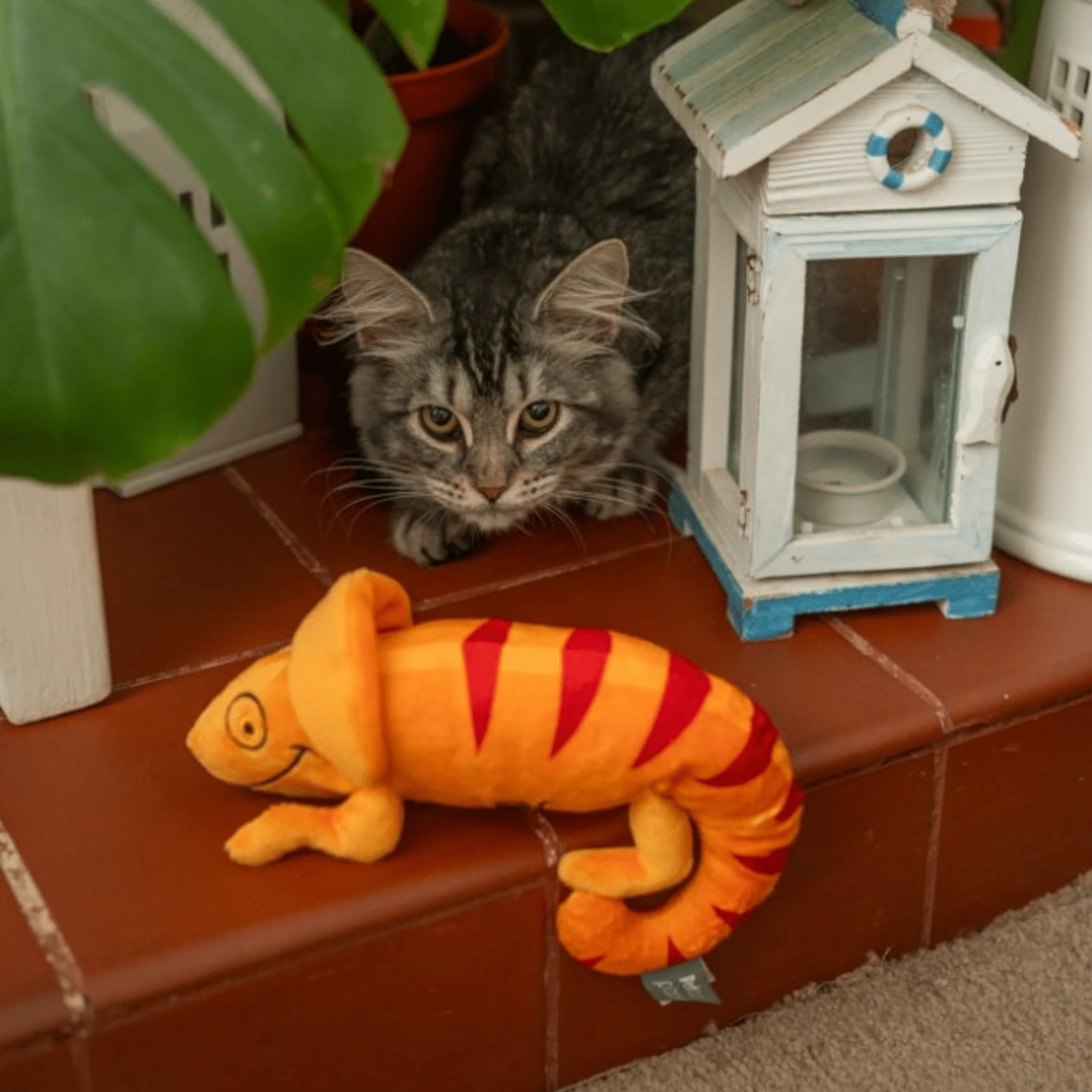 Petface Curtis Chameleon Cat Toy - Image 6
