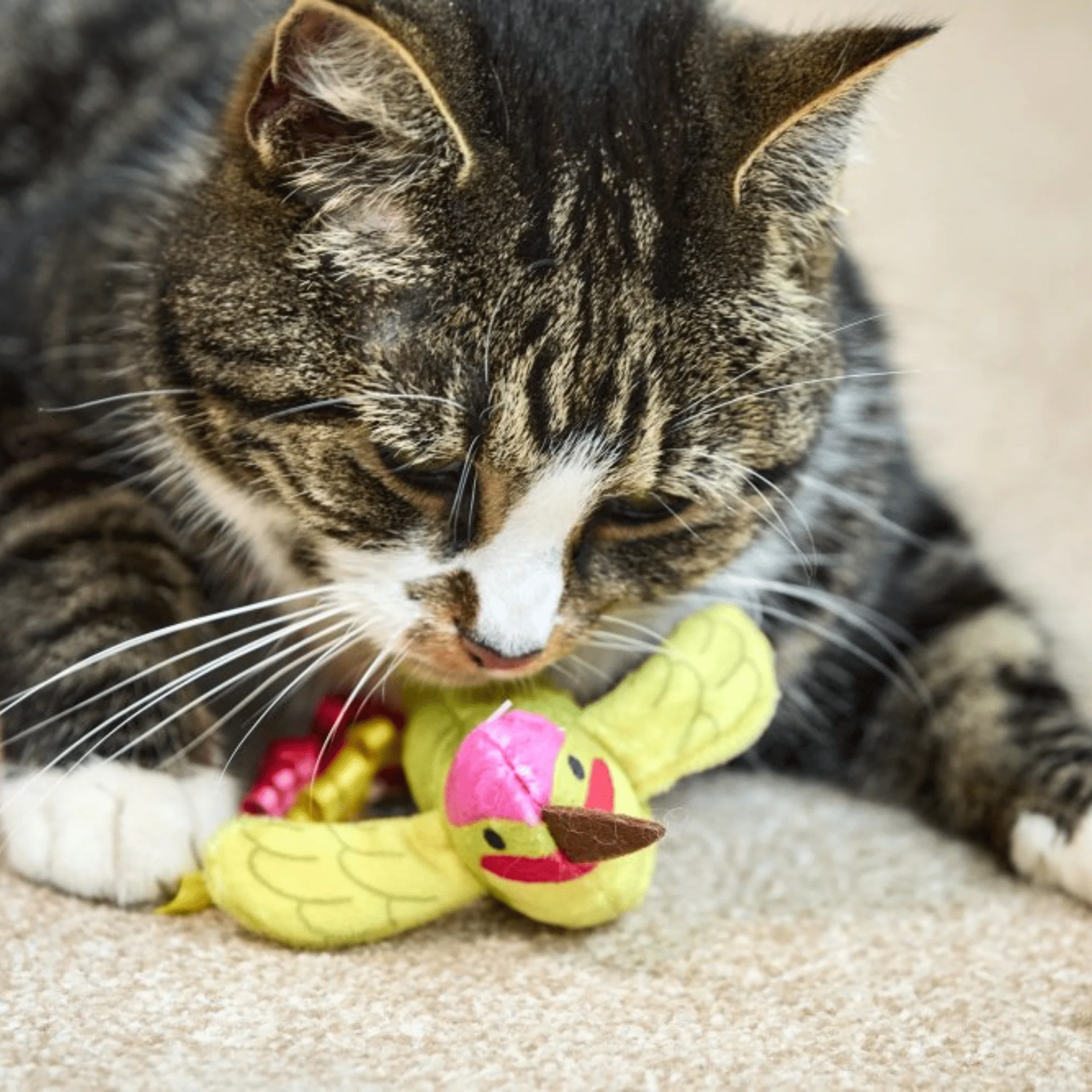 Petface Harper Hummingbird Cat Toy - Image 4
