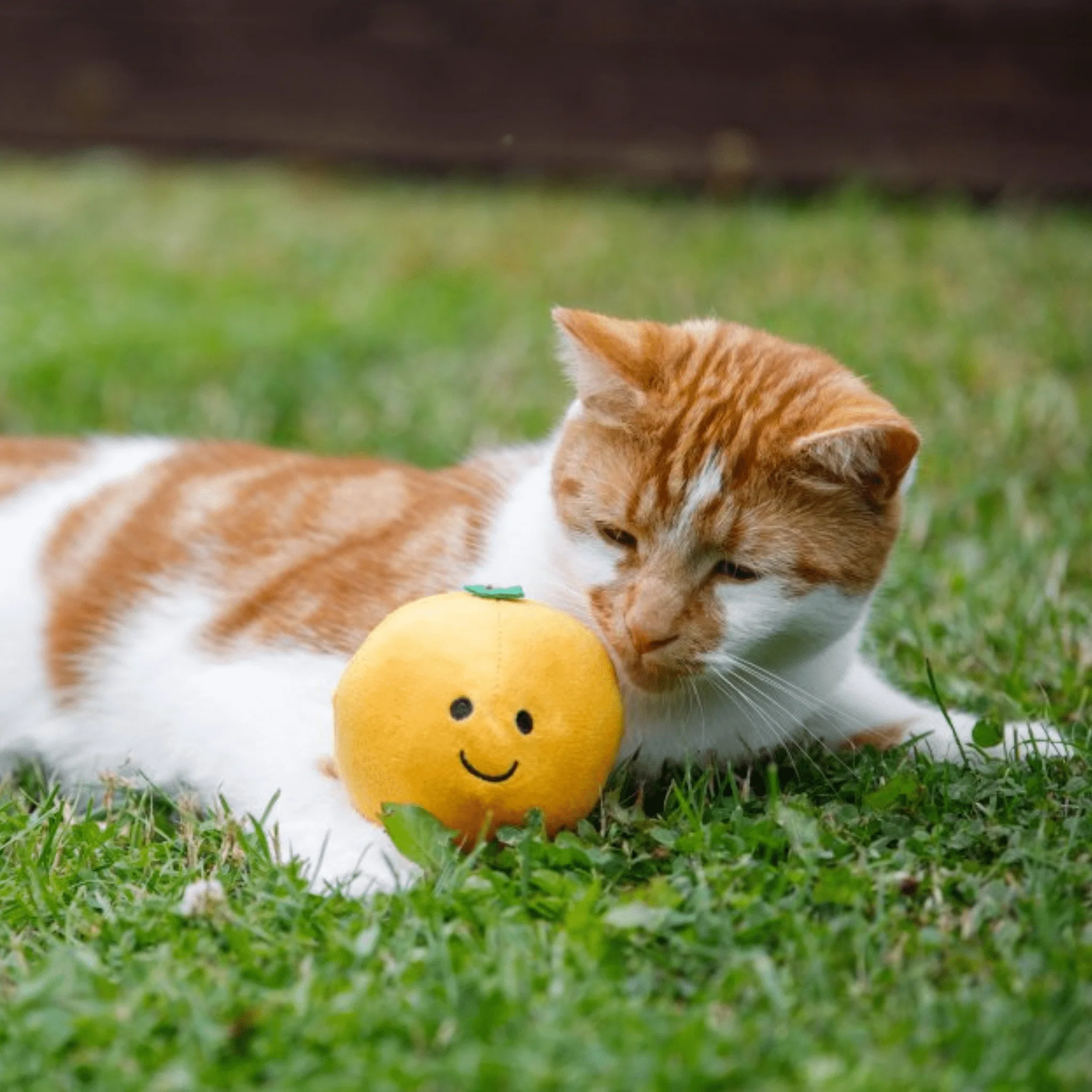 Petface Orange Plush Cat Toy - Image 6