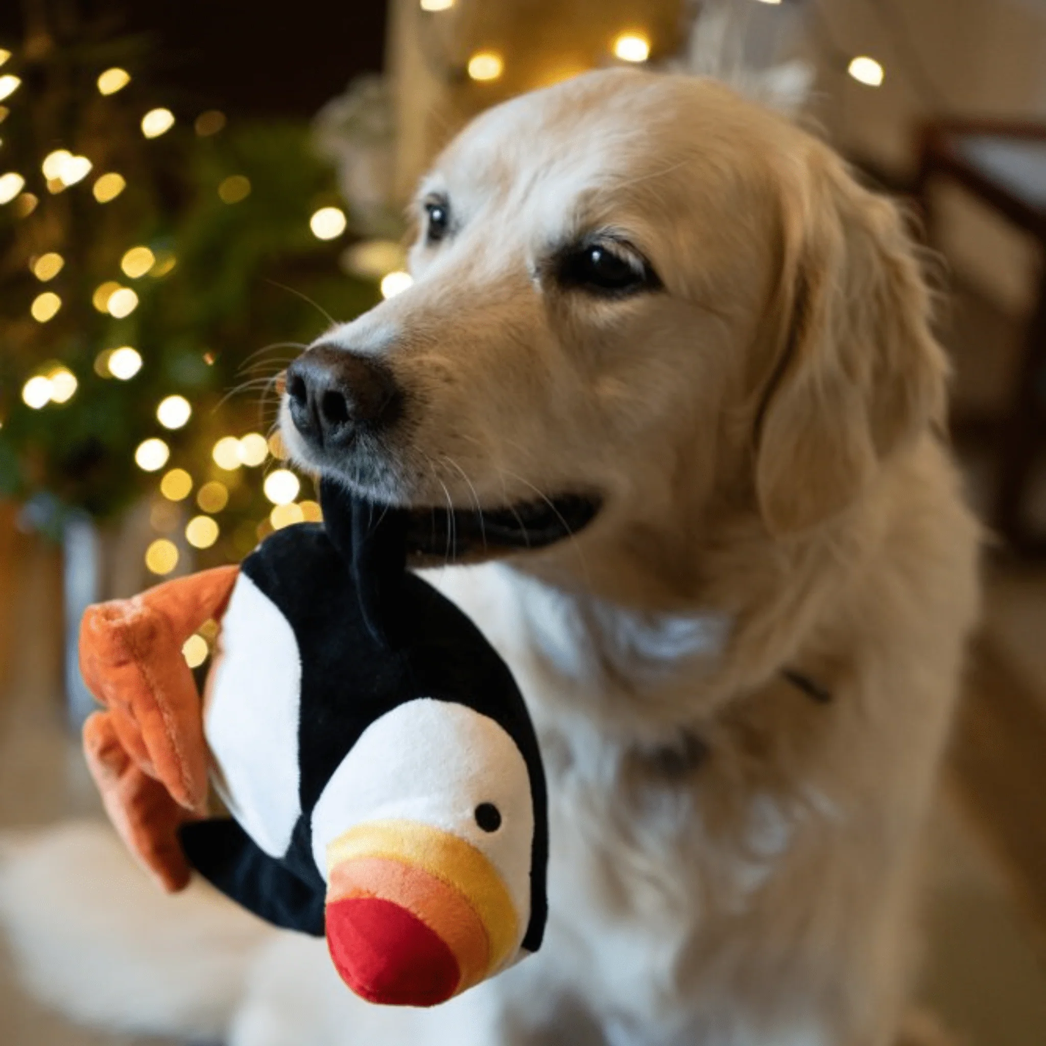 Petface Pana Puffin Dog Toy - Image 6