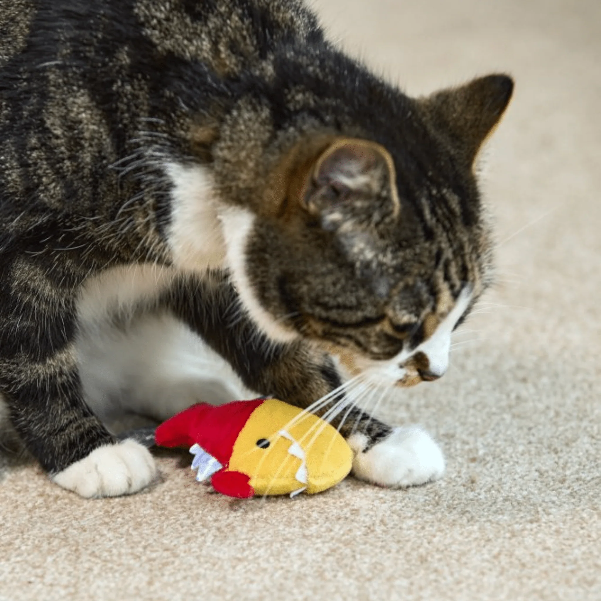 Petface Parker Piranha Cat Toy - Image 6