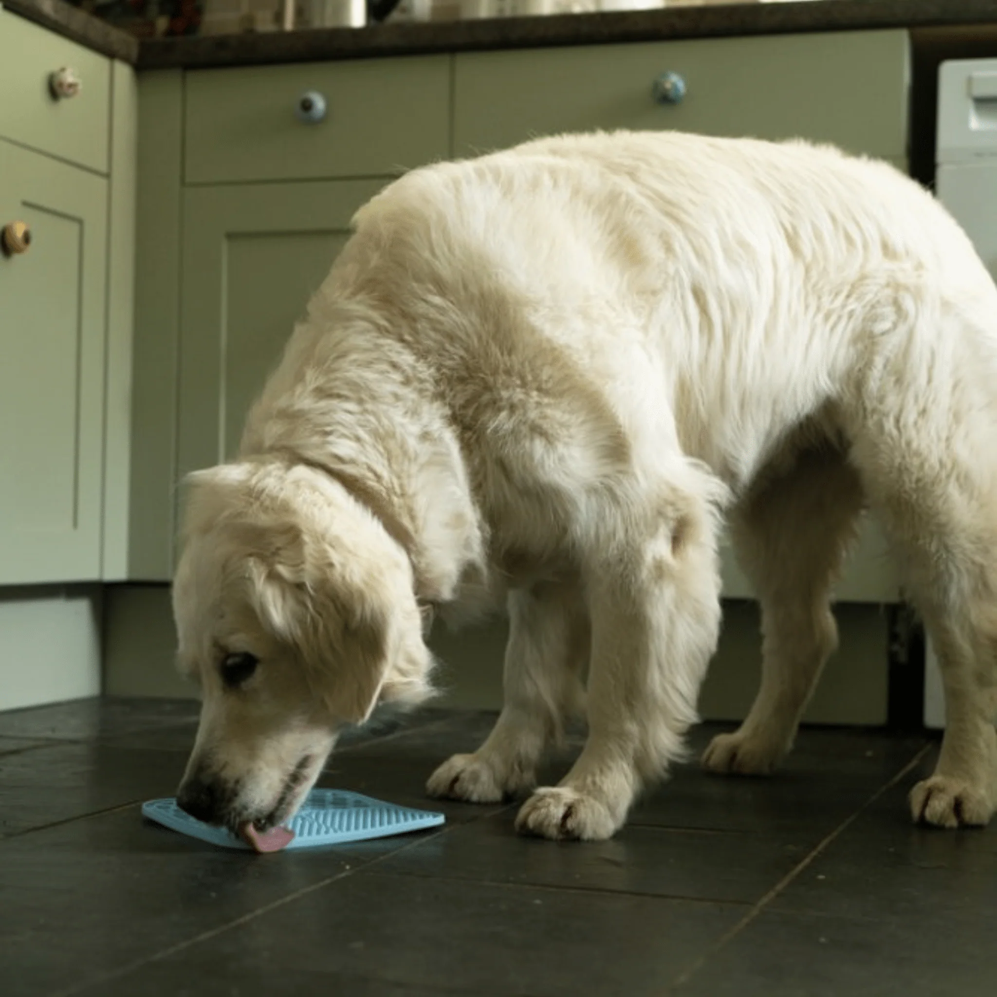 Petface Treat Mat with Suction Cup (2PK) - Image 6