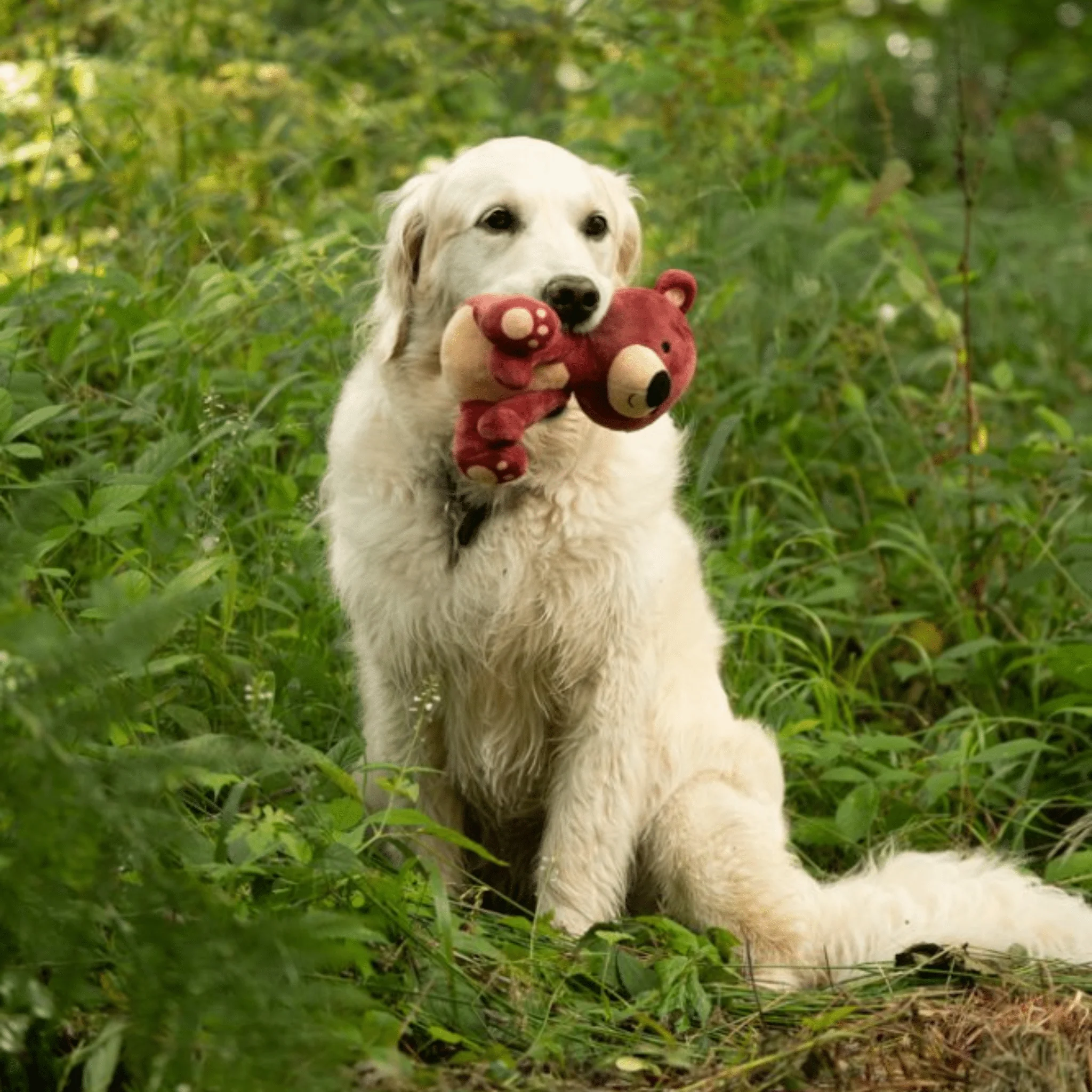 Petface Woodland Bruno Baby Bear Dog Toy - Image 7